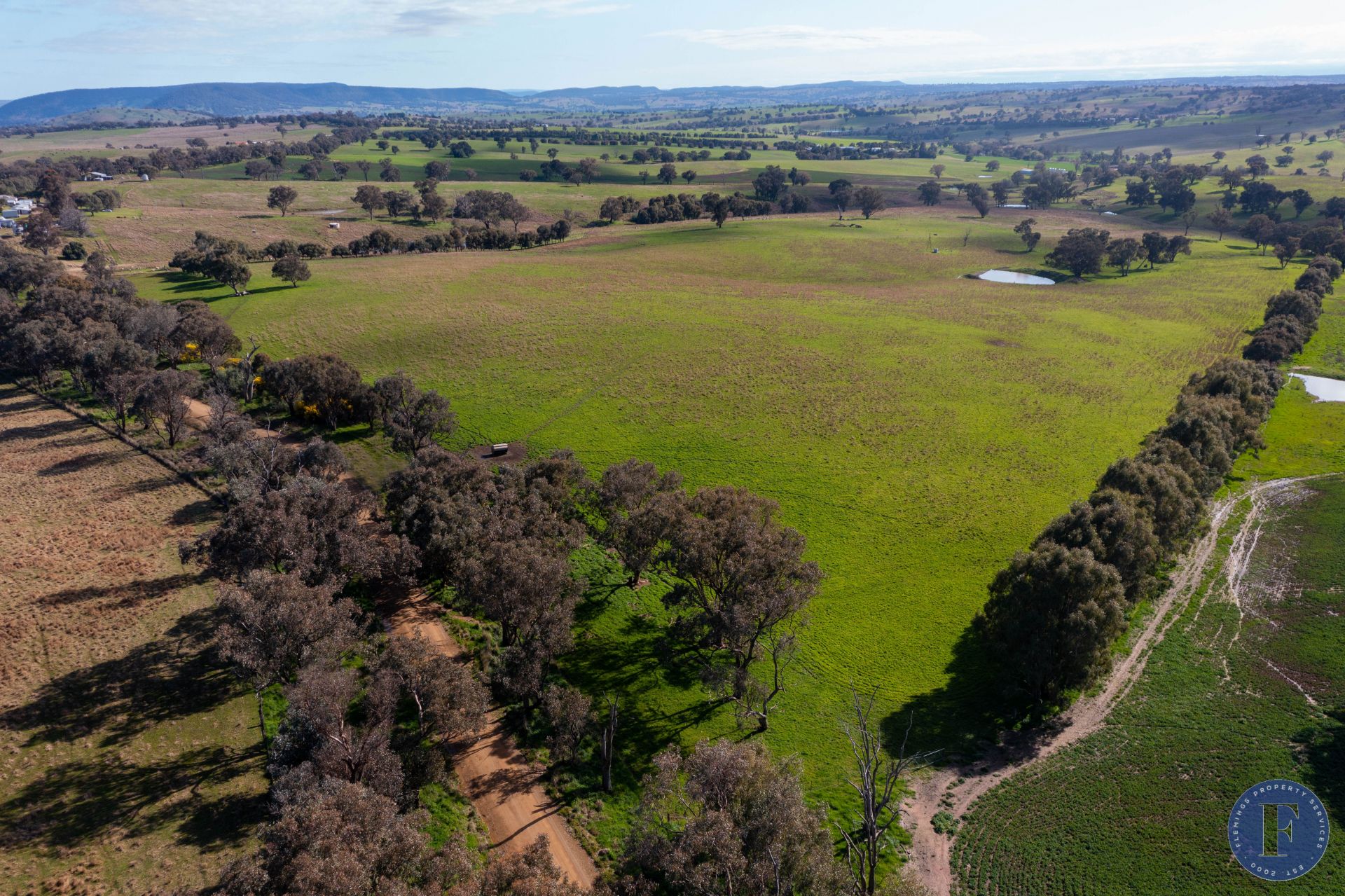Lot 3 Milo Roads, Murringo NSW, Murringo - Thumbnail 6