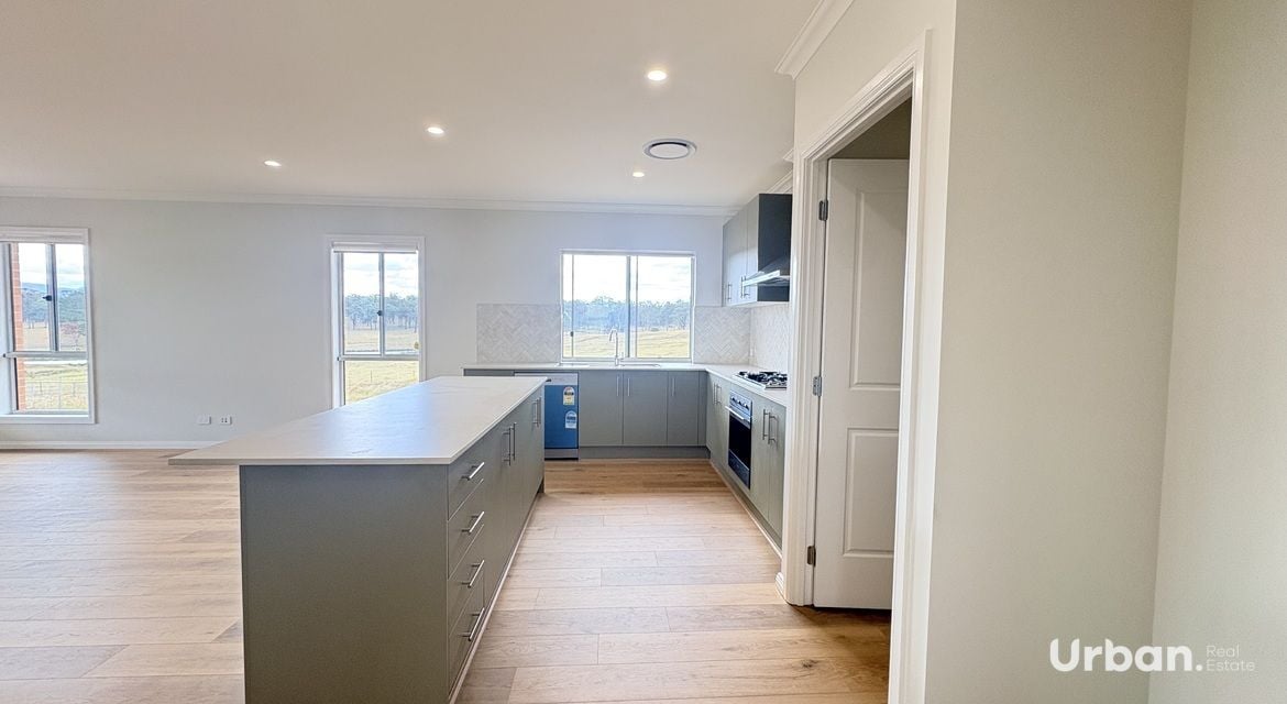 Branxton 12 Pistacia Grove