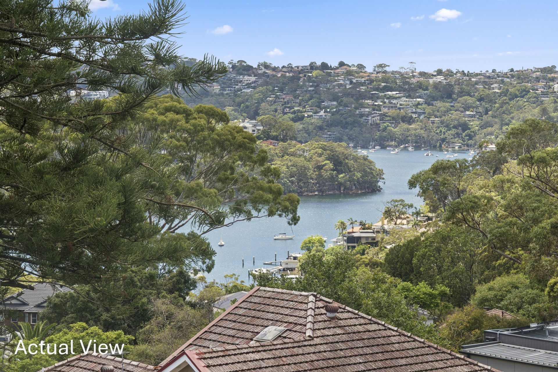 27 Narooma Road, Northbridge, Northbridge - Thumbnail 5