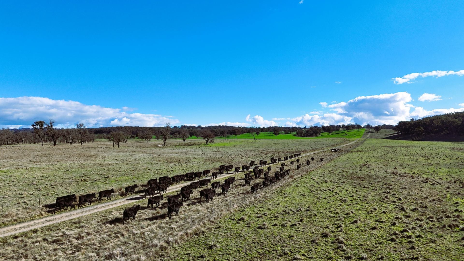 91 Gill Road, Walcha, Walcha - Thumbnail 6