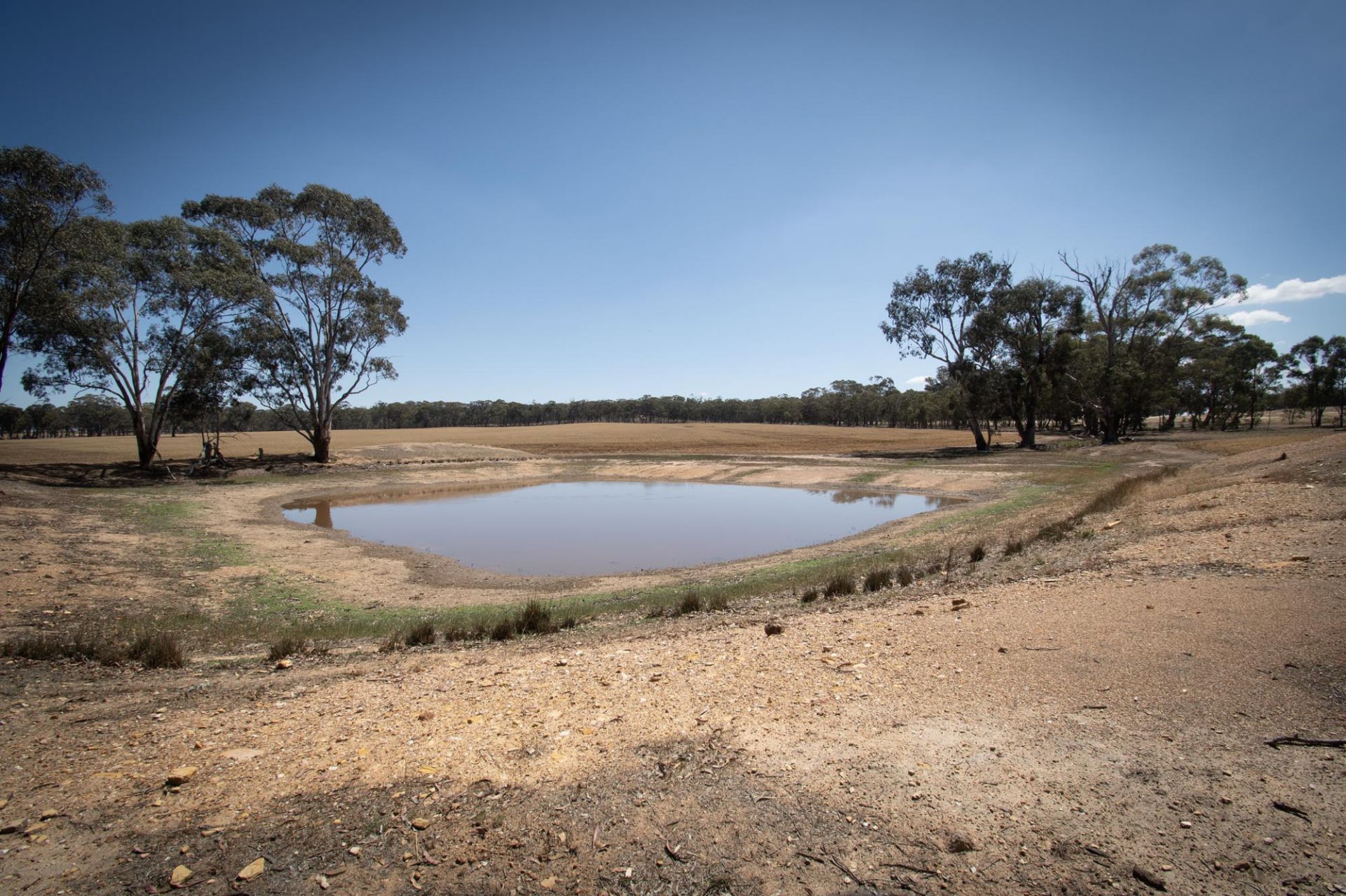 52 Tunstalls Road, Bealiba - Thumbnail 5