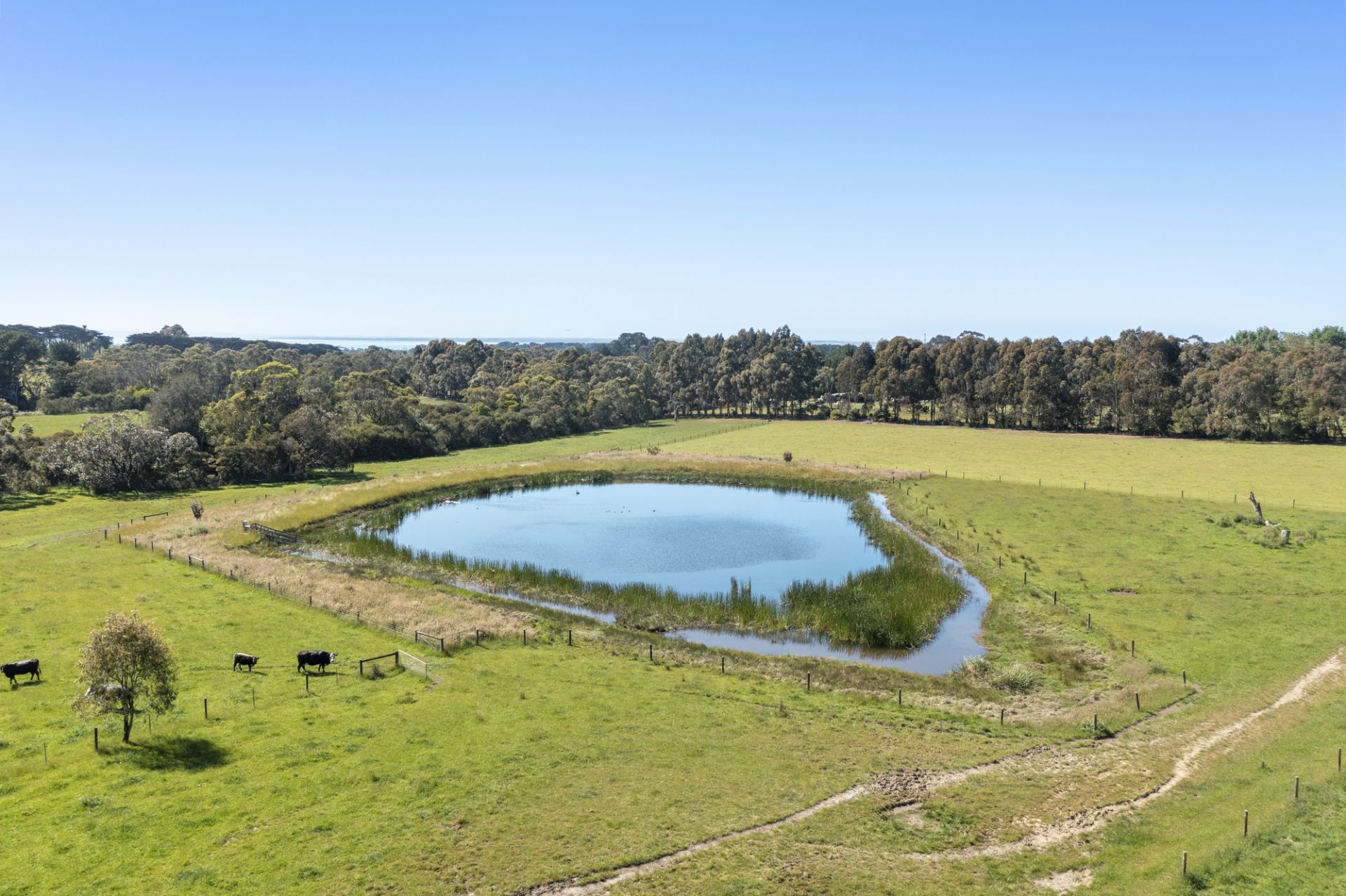 51 Stanleys Road, Merricks, Merricks - Thumbnail 2