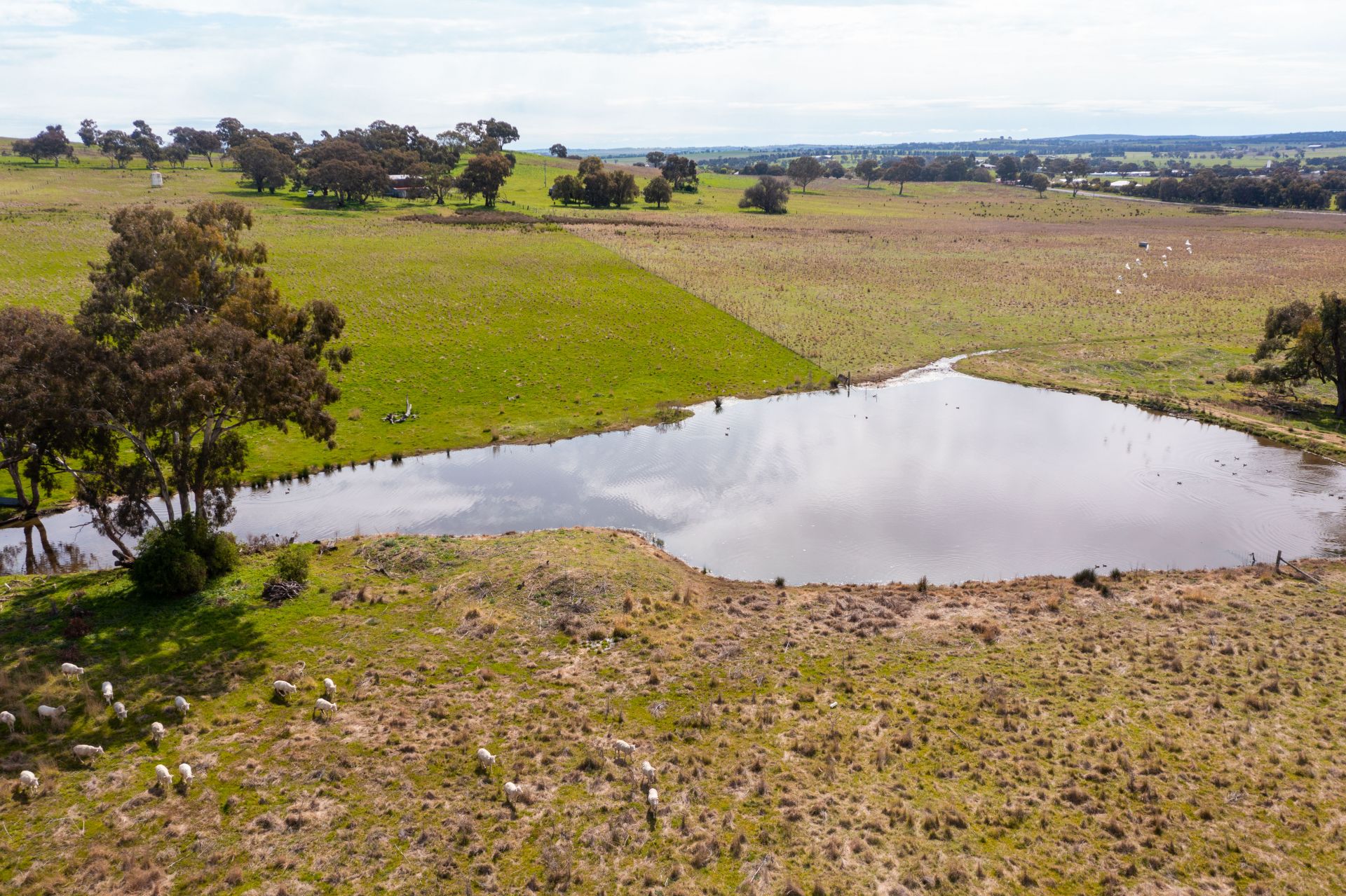 "Dots" 1887 Rye Park Road, Boorowa NSW, Boorowa - Thumbnail 8