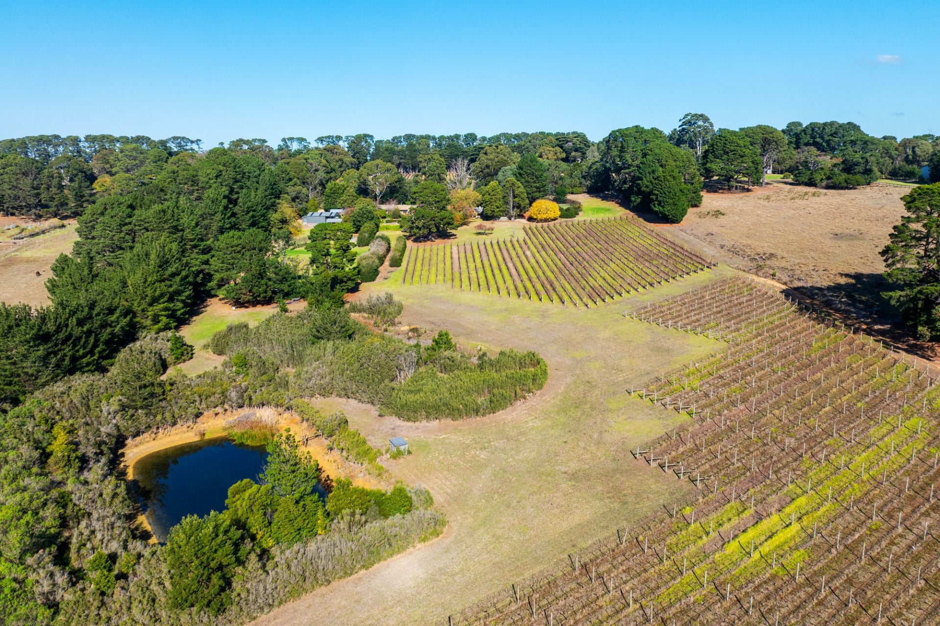 206 Bittern-Dromana Road, Merricks North, Merricks North - Thumbnail 4