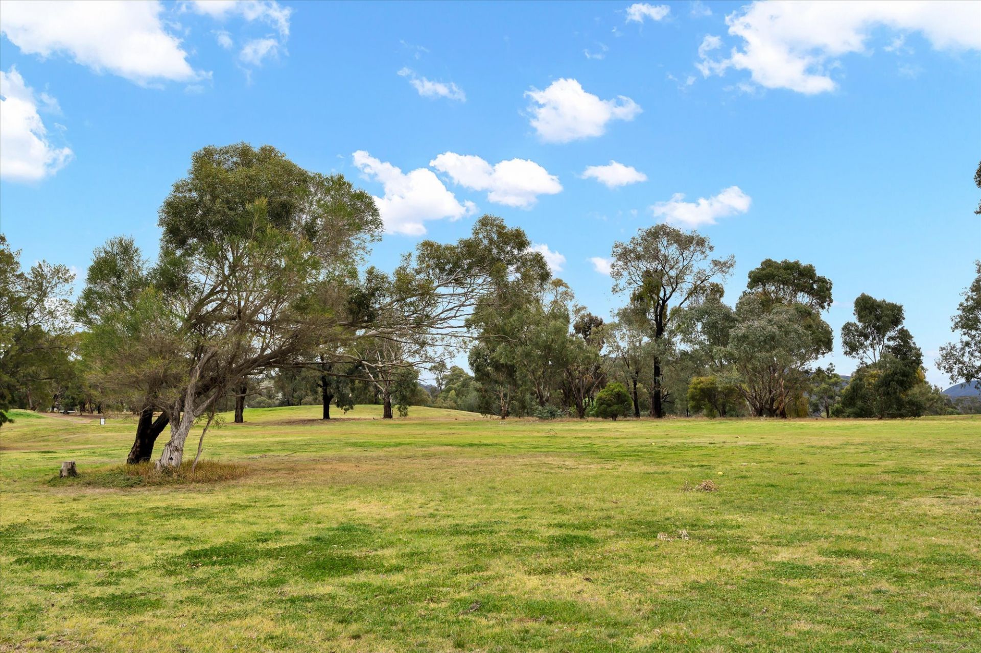43 Robertsons  Road, Darley, Darley - Thumbnail 5