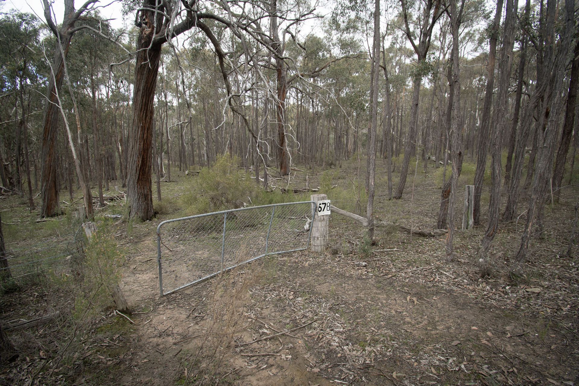 67B Stringybark Lane, Percydale - Thumbnail 6