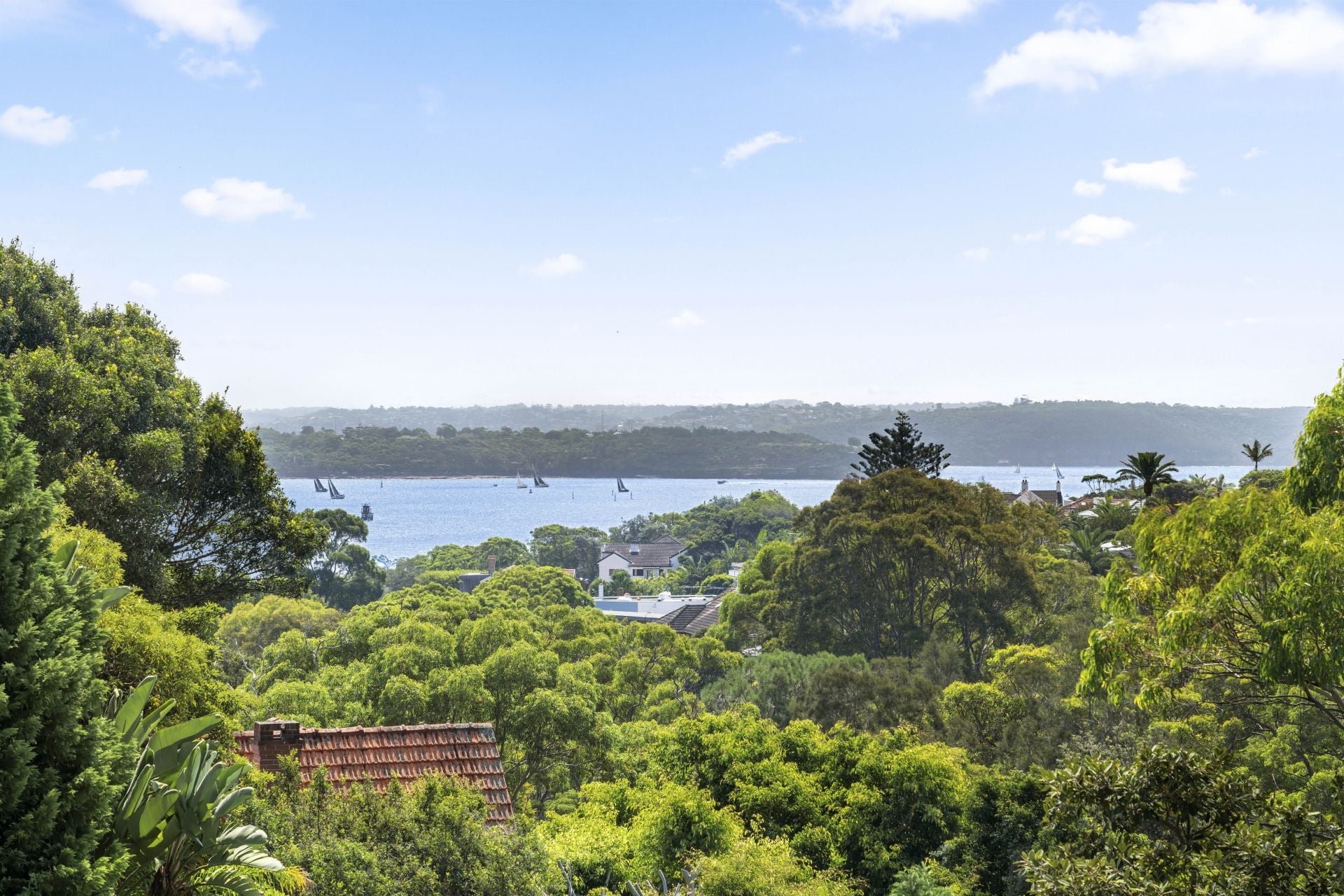 80A Hopetoun Avenue Vaucluse NSW, Vaucluse - Thumbnail 3