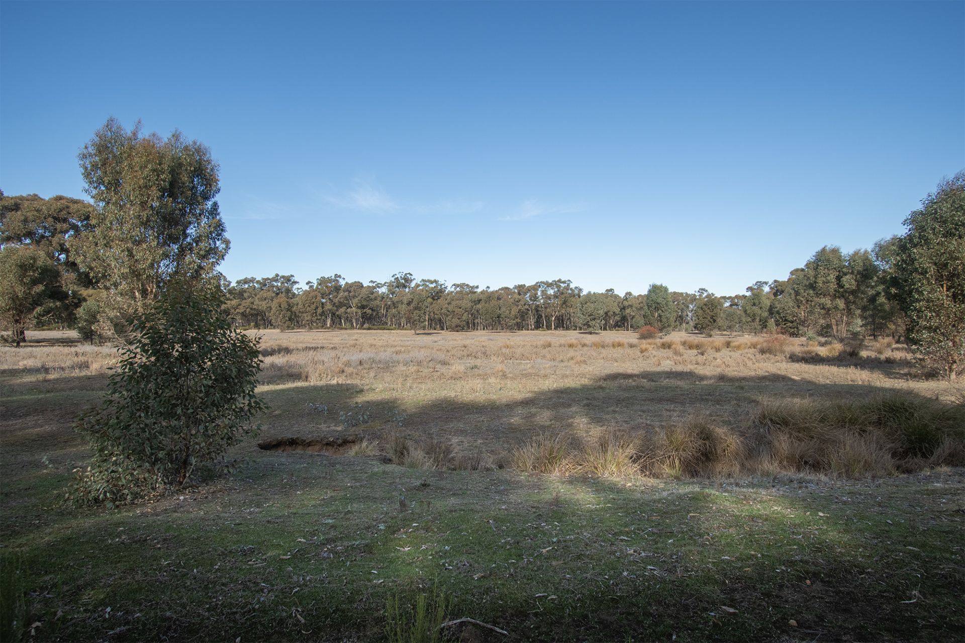 6/ Section 1 Rheola Arnold Road, Rheola - Thumbnail 8