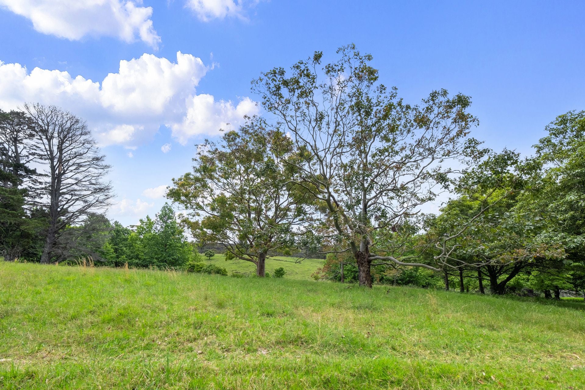 Kurrajong Heights, Kurrajong Heights - Thumbnail 5