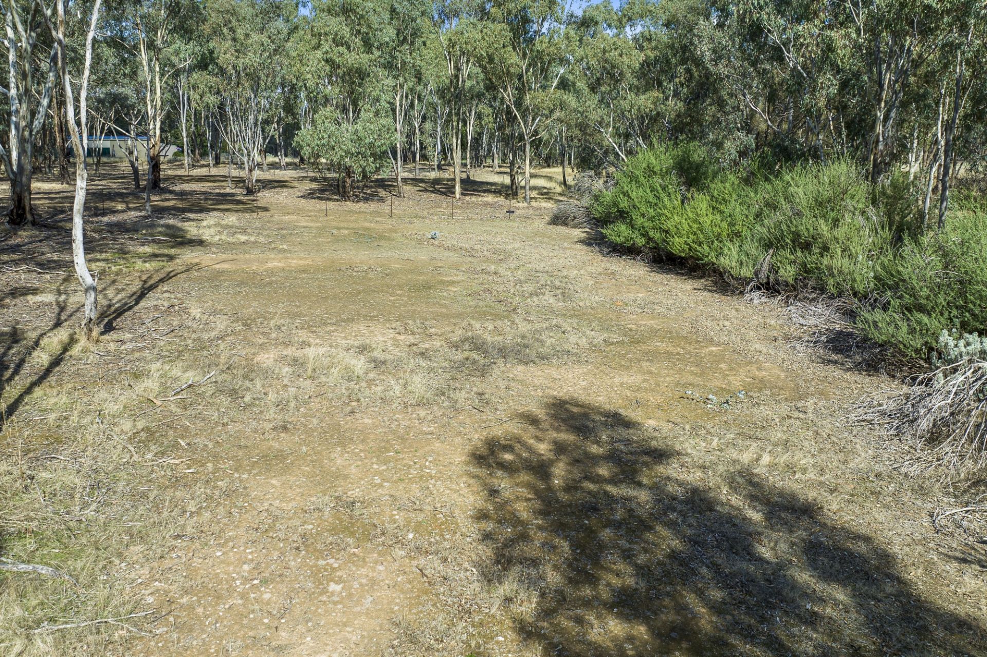 465 Dunolly-Moliagul Road, Dunolly - Thumbnail 4