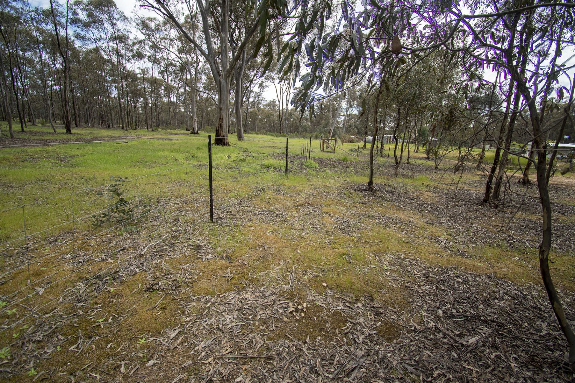 CA 9/100 Queens Birthday Mine Road Goldsborough - Via Road, Dunolly - Thumbnail 8