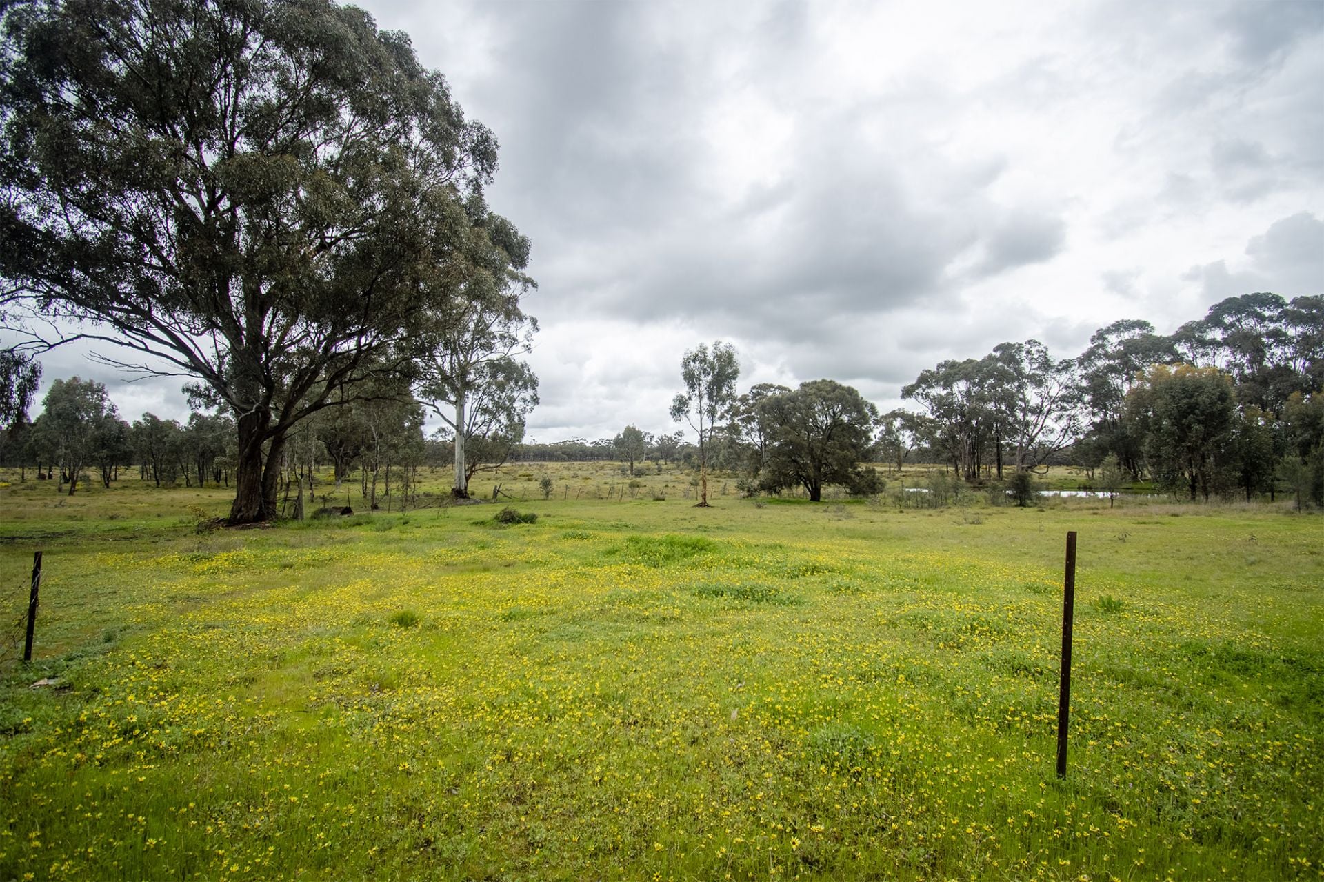30/123 Logan Road, Alma - Thumbnail 2