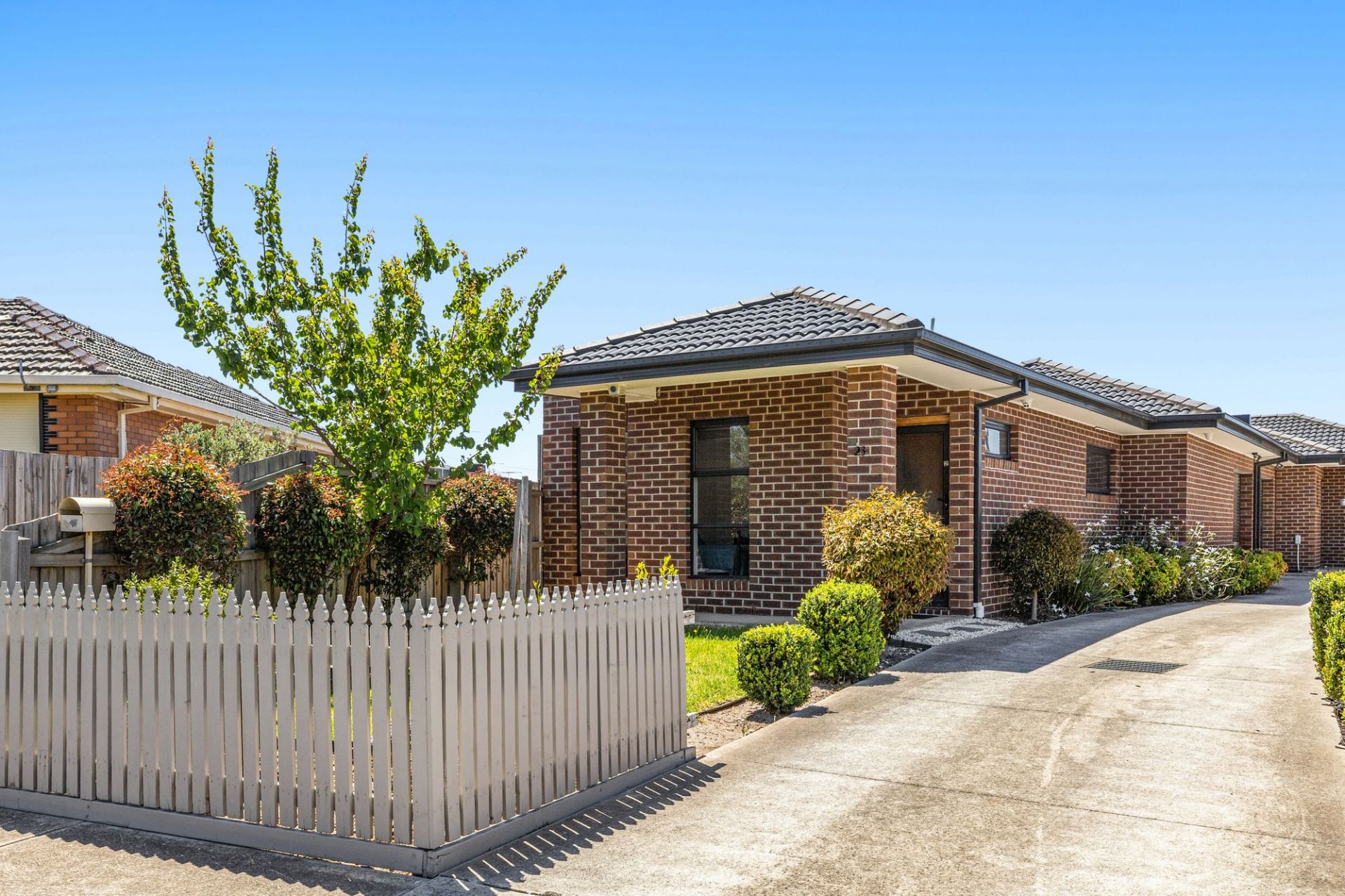 IMMACULATE 2 BEDDER