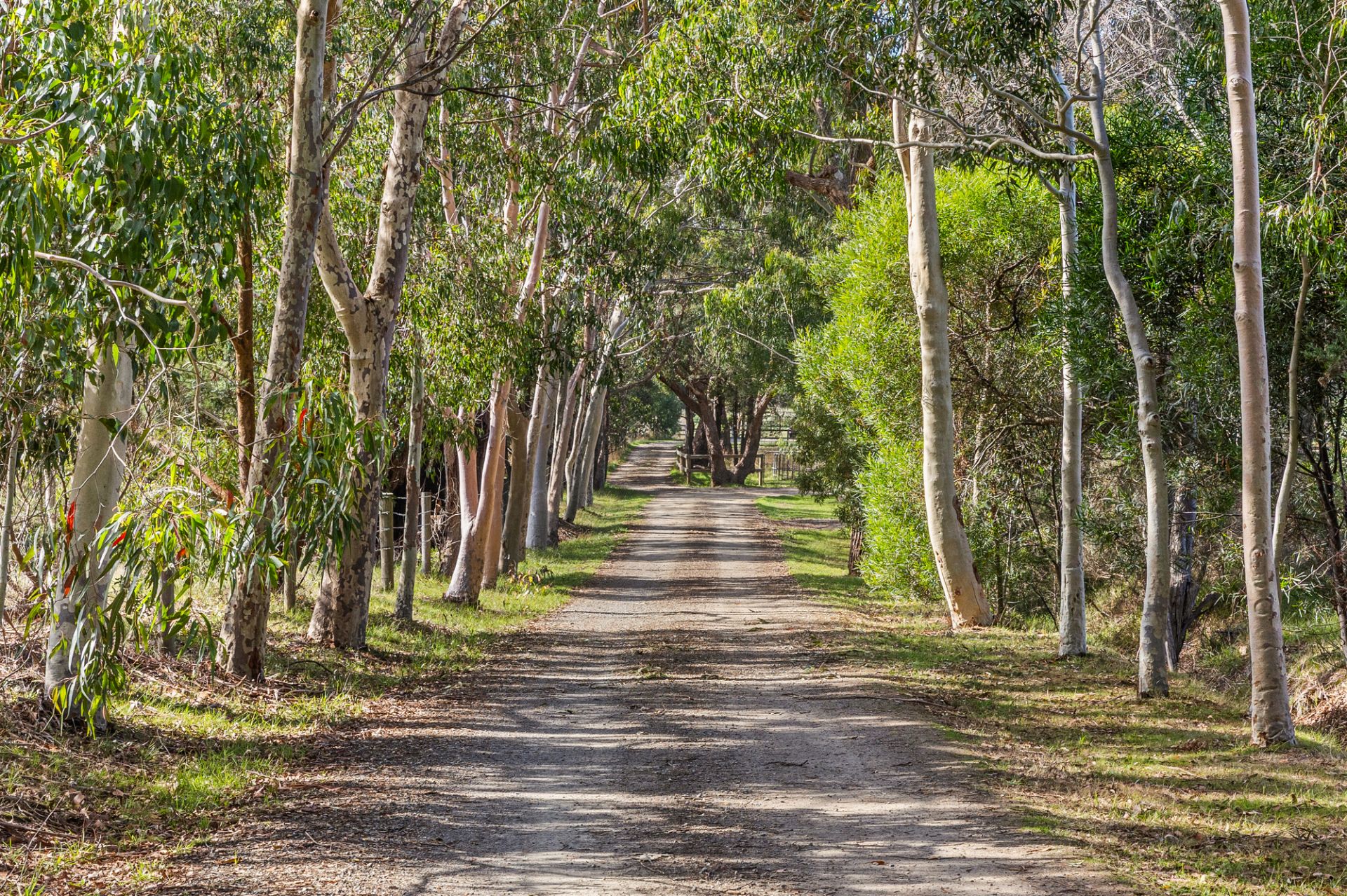 121 Balnarring Road, Balnarring, Balnarring - Thumbnail 4