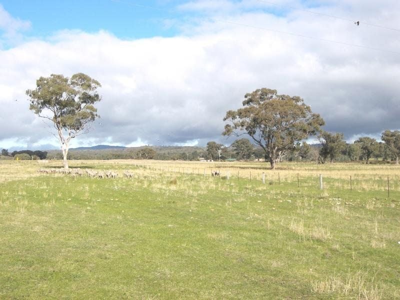 Axe Creek, Axe Creek - Thumbnail 4