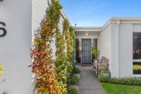 43 Shorebreak Way OCEAN GROVE VIC 3226, Ocean Grove - Thumbnail 4