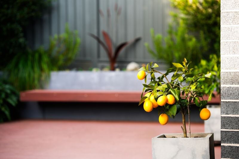 A grand home for the family -  Kirkham Rise