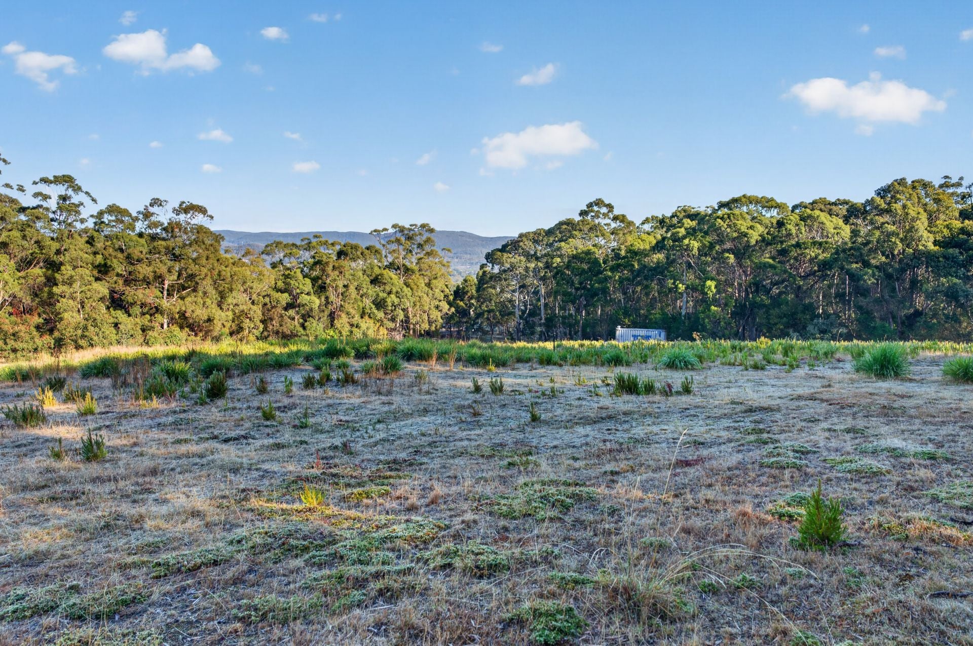 482 Tinderbox Road, Tinderbox, Tinderbox - Thumbnail 8