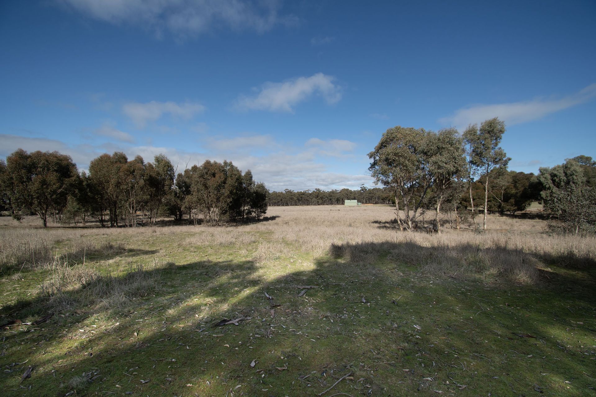64 Diggers Track, Dunolly - Thumbnail 7