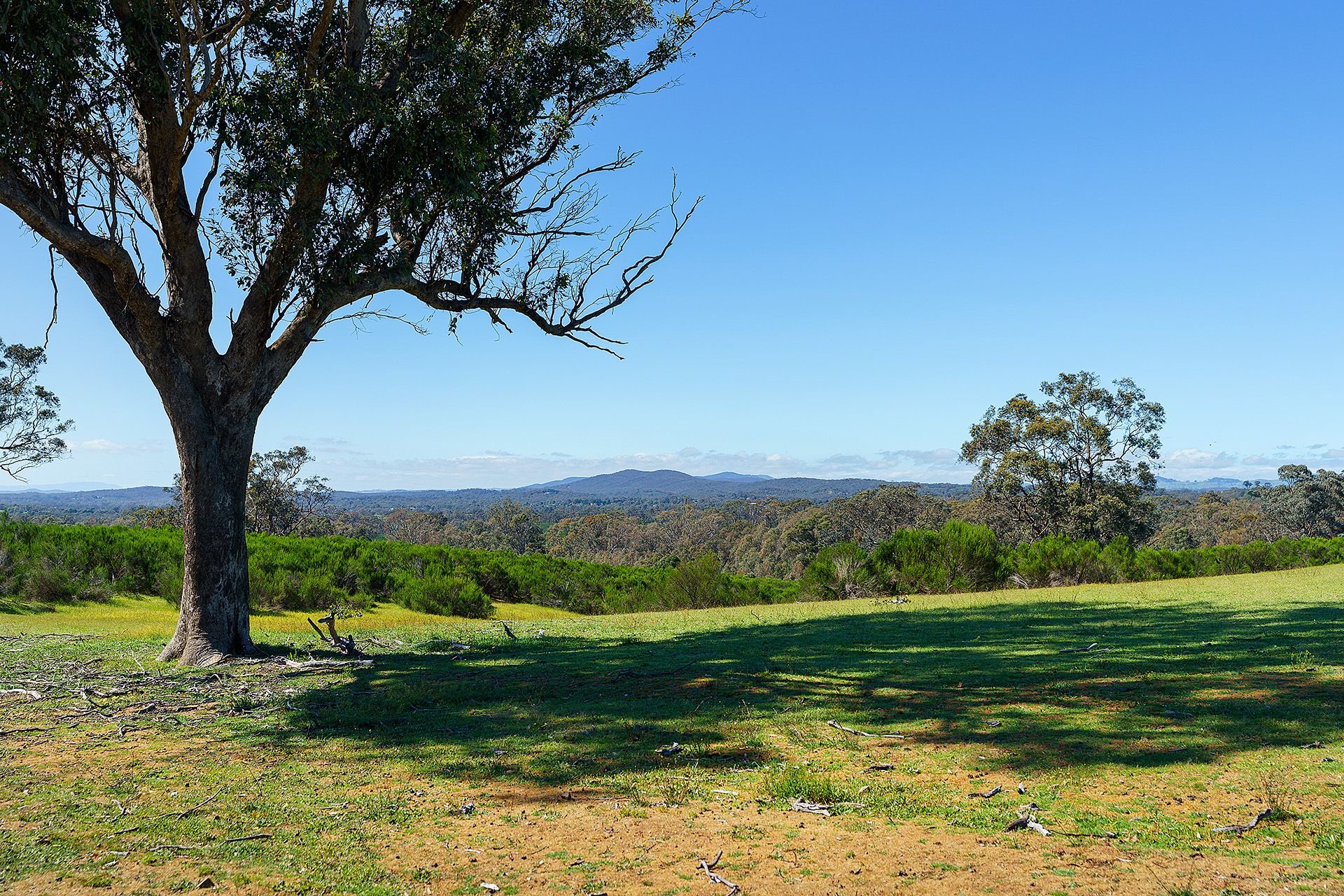 Lot 2H/ Hylands Lane, Heathcote VIC 3523