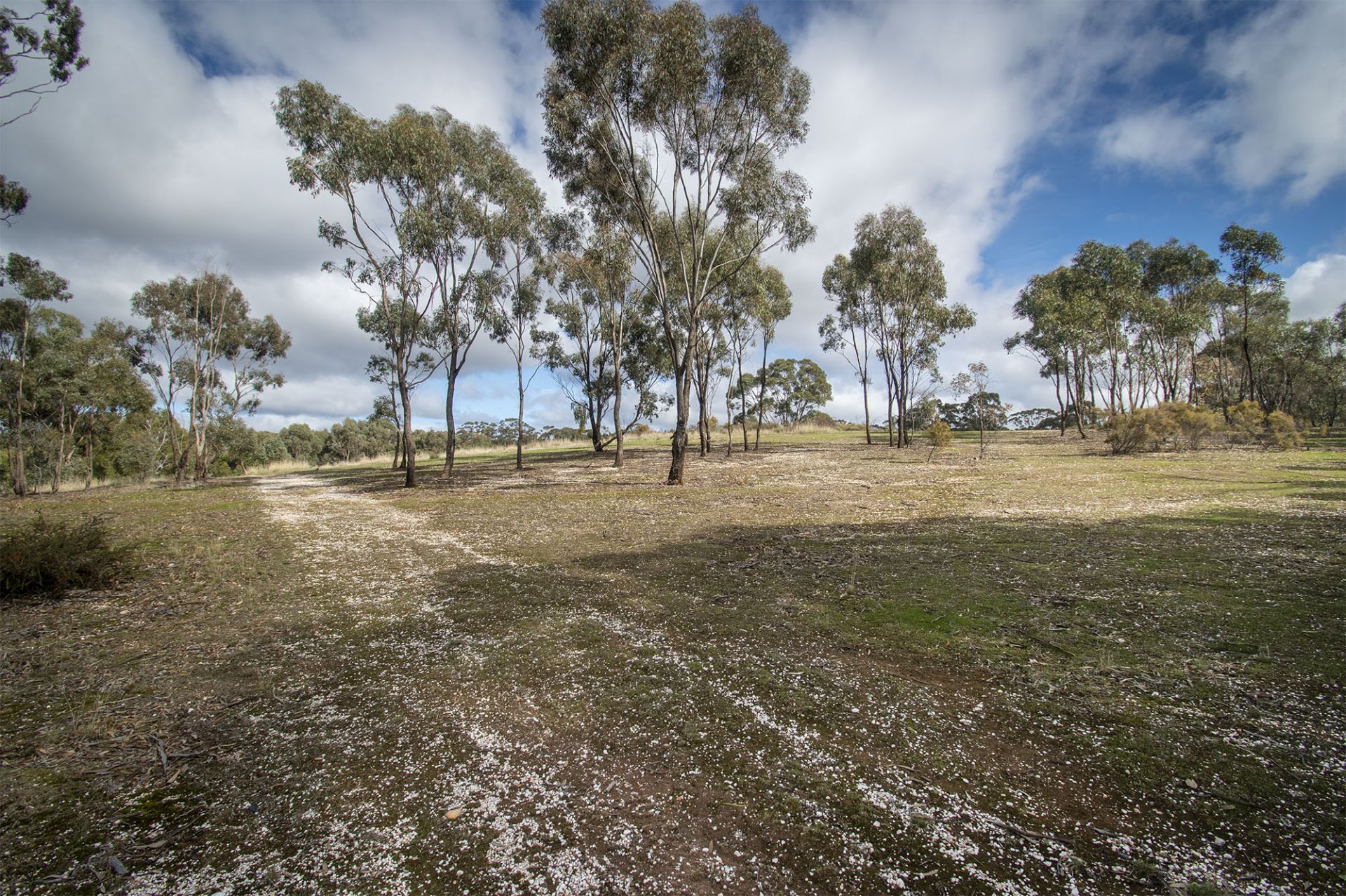 48 Griffiths Street, Maryborough - Thumbnail 5