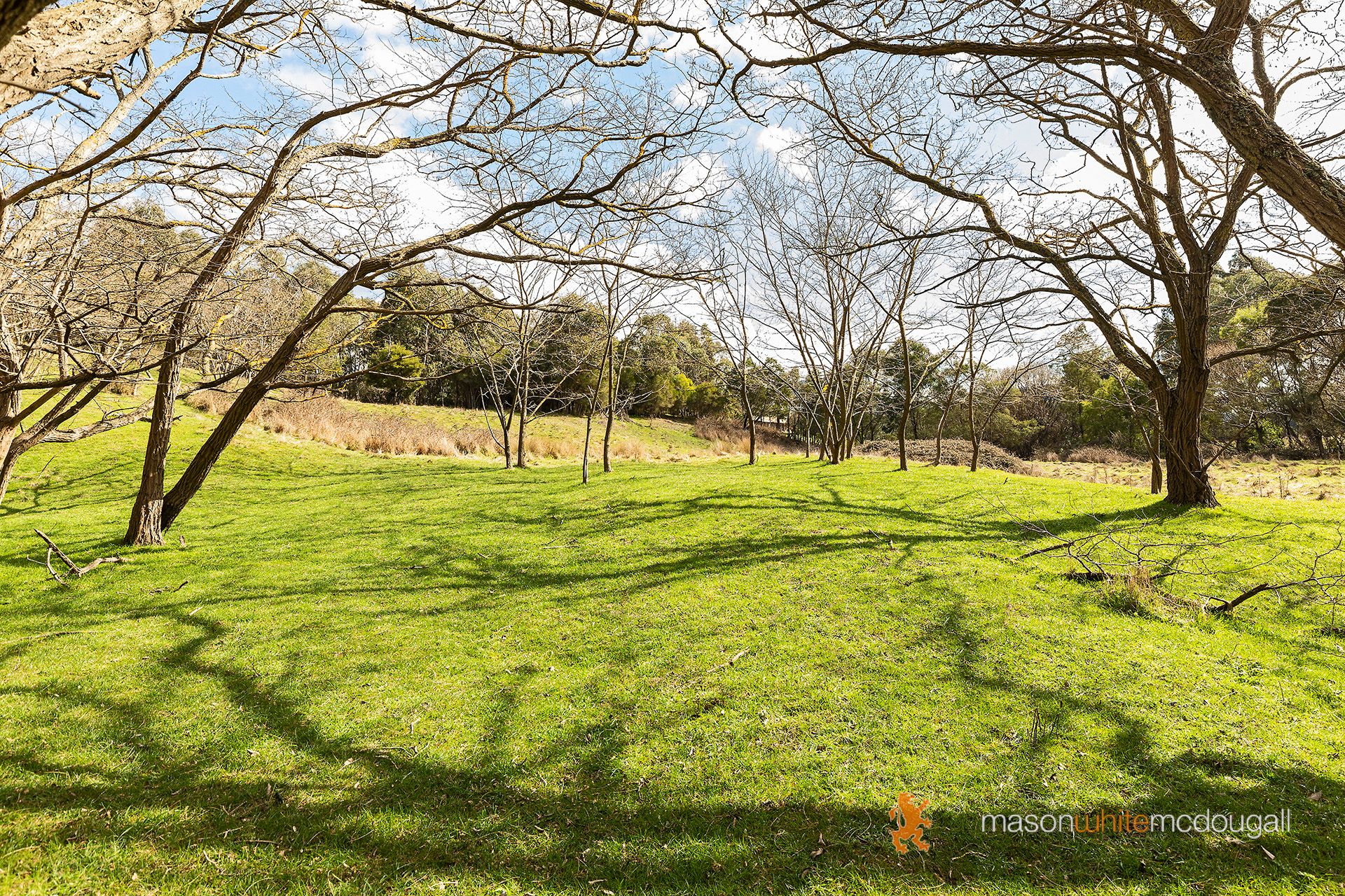 3493 Whittlesea-Yea Road Flowerdale VIC, Flowerdale - Thumbnail 6