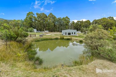 114 Grandview Drive, South Spreyton, South Spreyton - Thumbnail 2