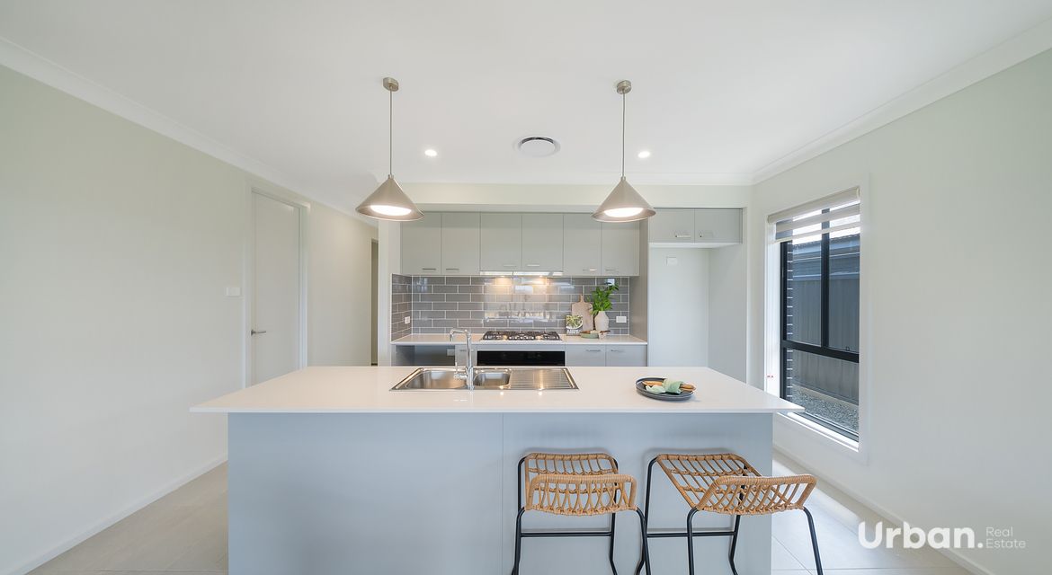 Bellbird 68 Abbotsford Street