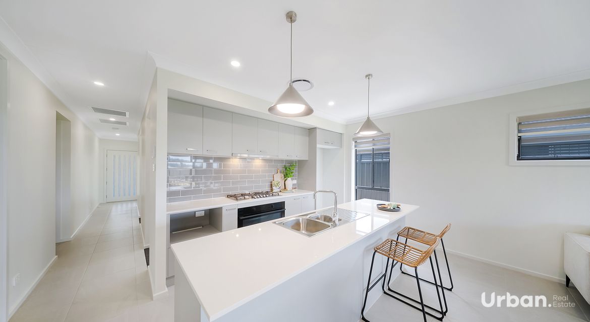 Bellbird 68 Abbotsford Street