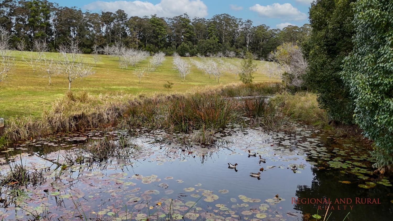 6188 Pacific Highway, HERONS CREEK NSW 2439