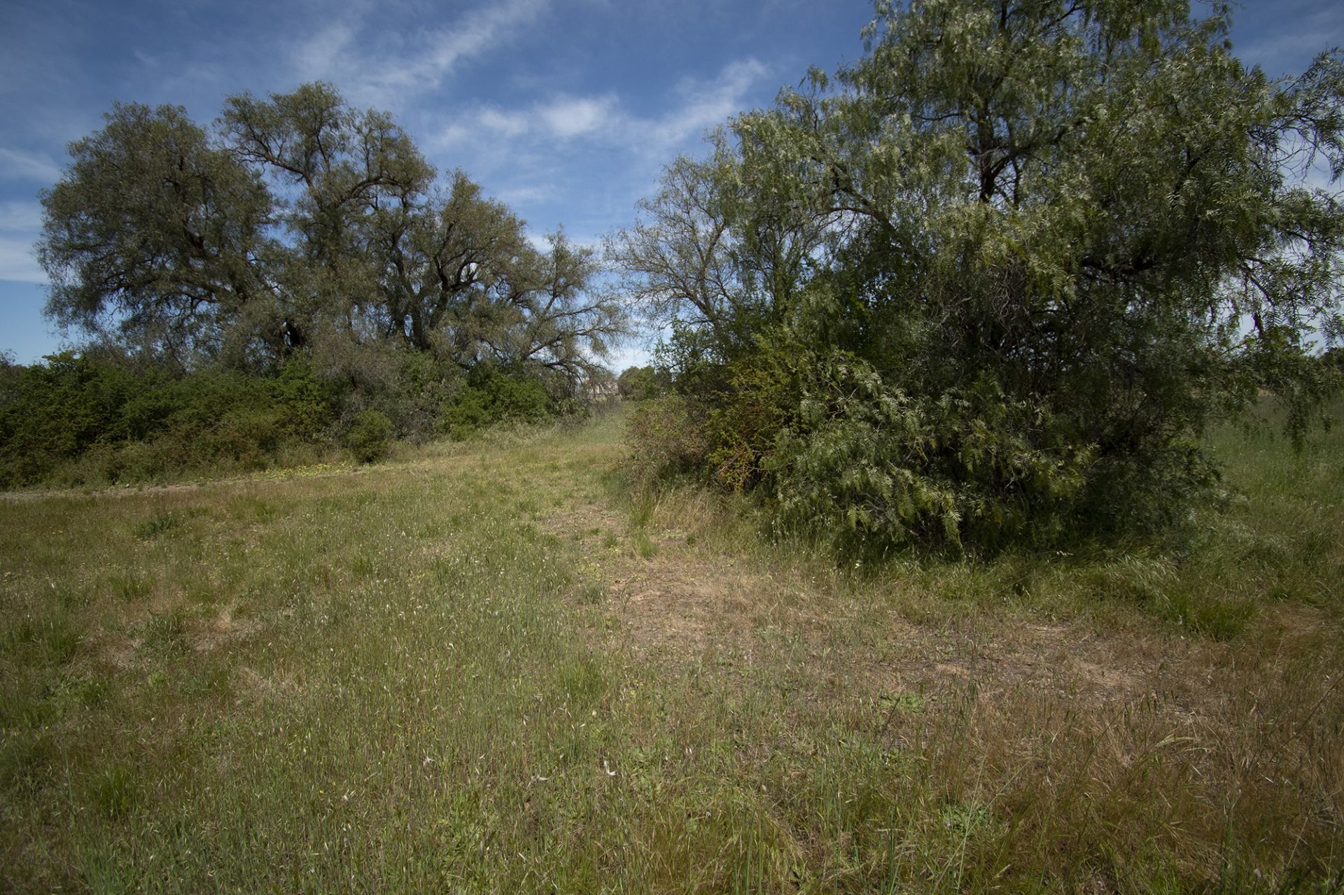 2/of 93 Maude Street, Dunolly - Thumbnail 7