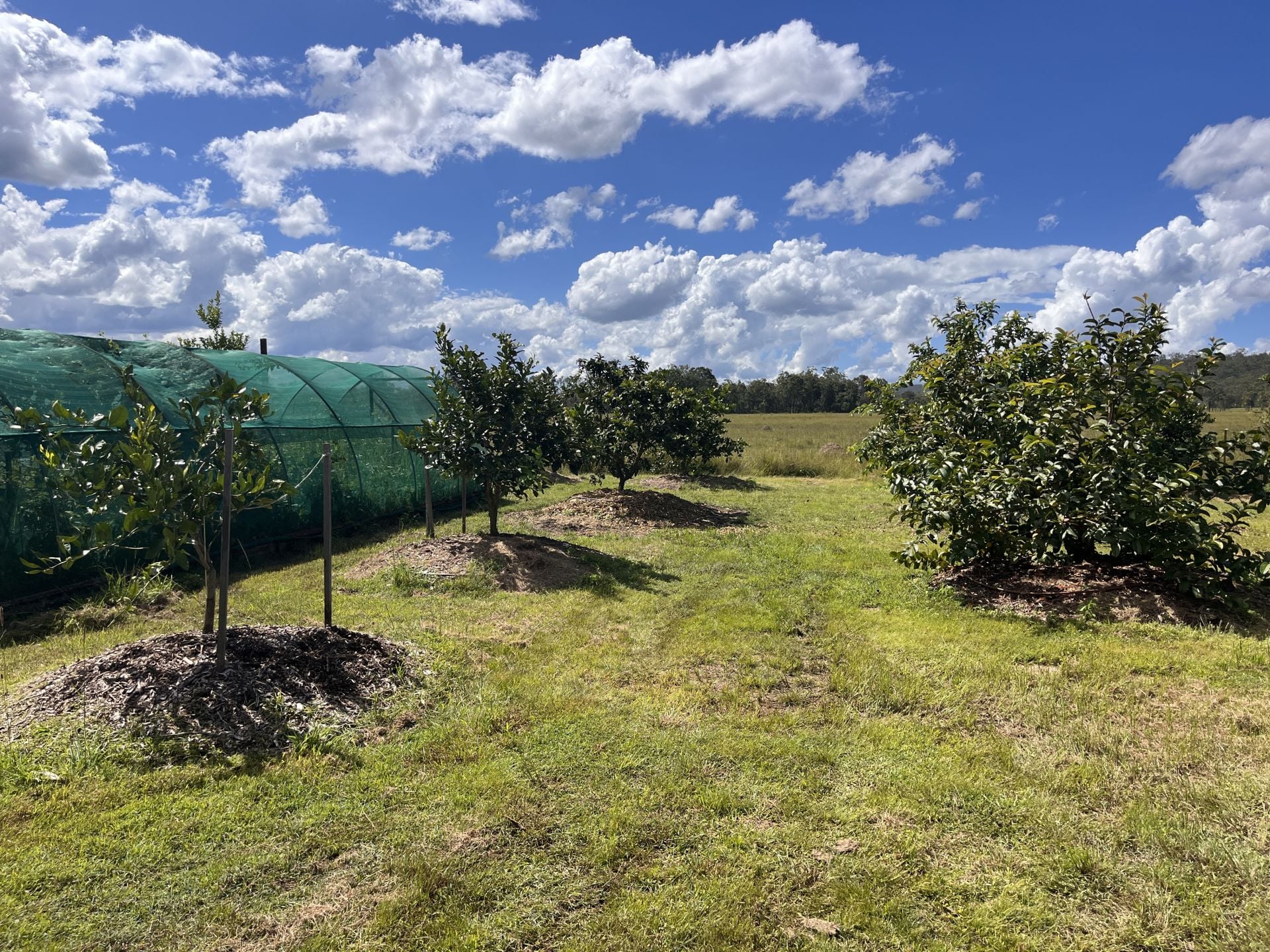 84 Gordon Earl Drive, Millstream For Sale by Farmbuy.com - image 27