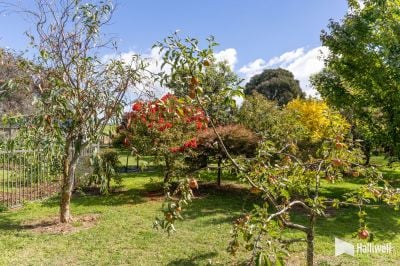 498 Sunnyside Road, Sunnyside, Sunnyside - Image 1