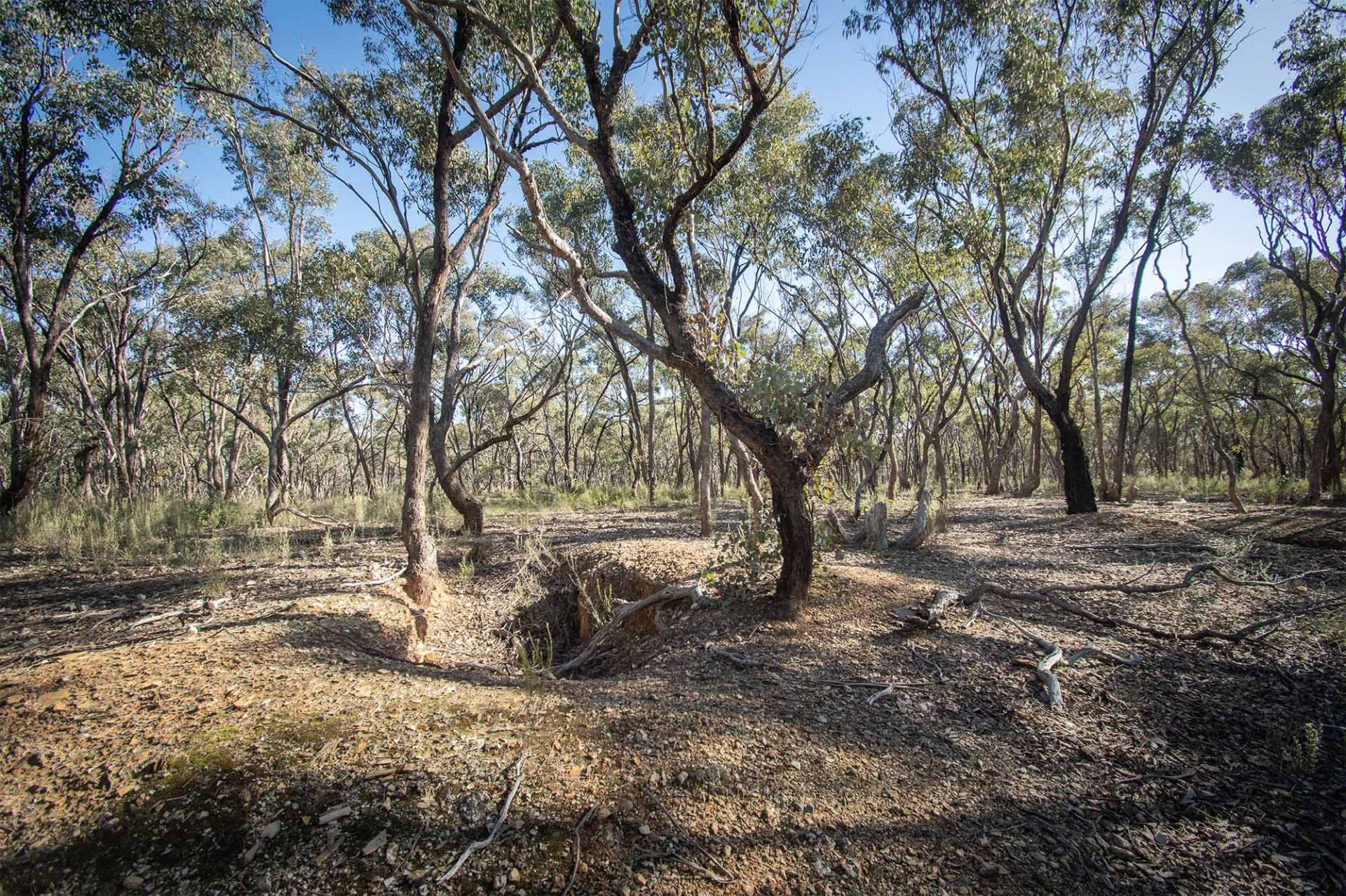 268 Moonlight Rd - Moonlight Flat, Maryborough - Thumbnail 2