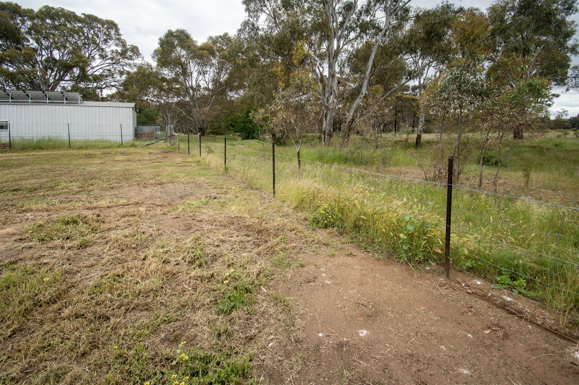 562 Timor Road, Bowenvale - Thumbnail 7