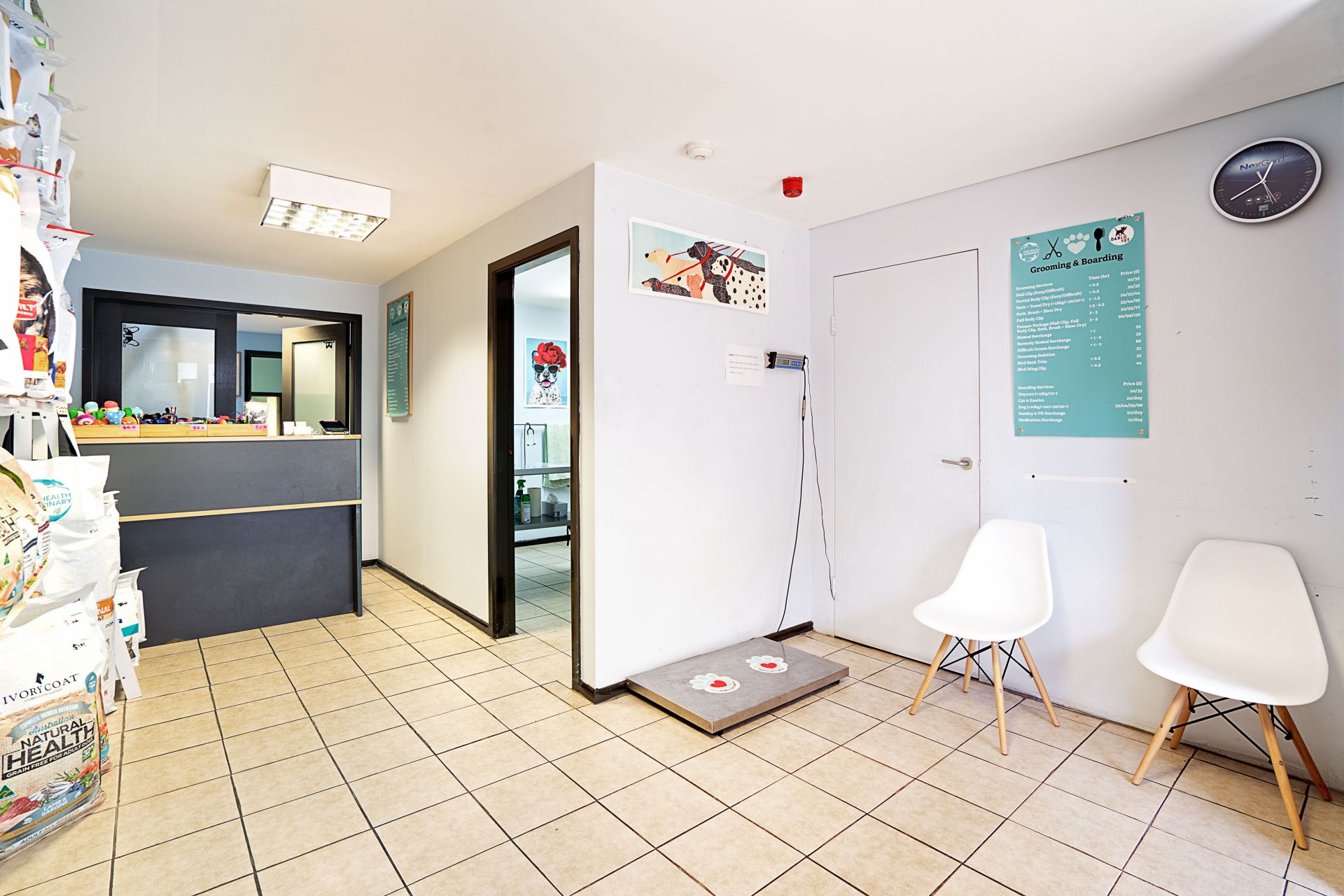 234 Crown Street Darlinghurst NSW, Darlinghurst - Thumbnail 7