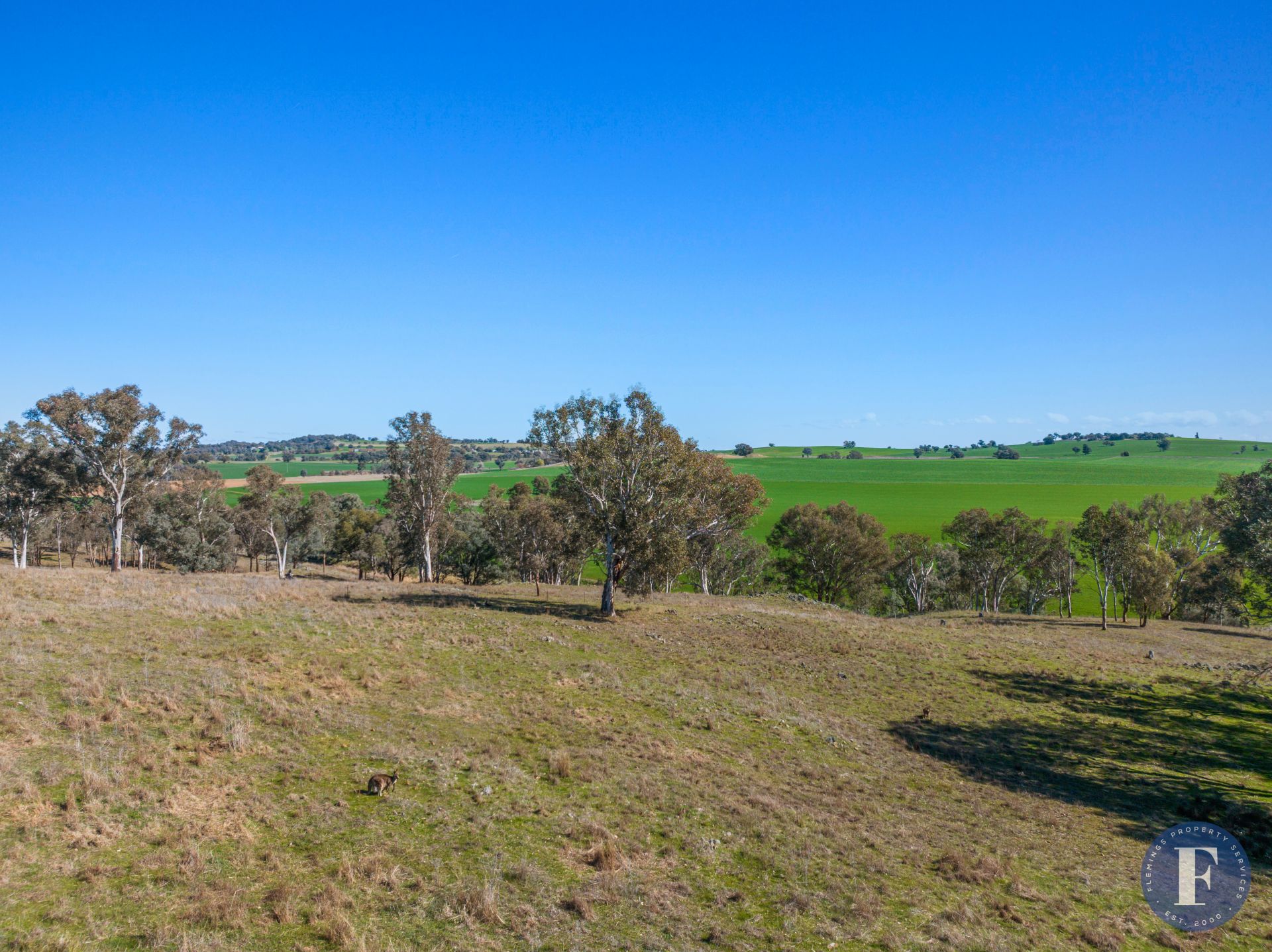 Lot 11 Willowvale Road, Cowra NSW, Cowra - Thumbnail 3