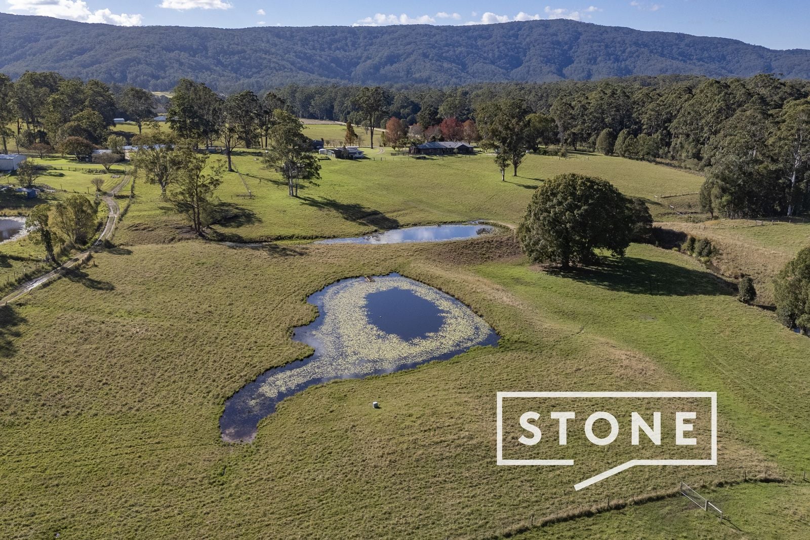 1199 Bucca Road, Bucca NSW, Bucca - Thumbnail 2