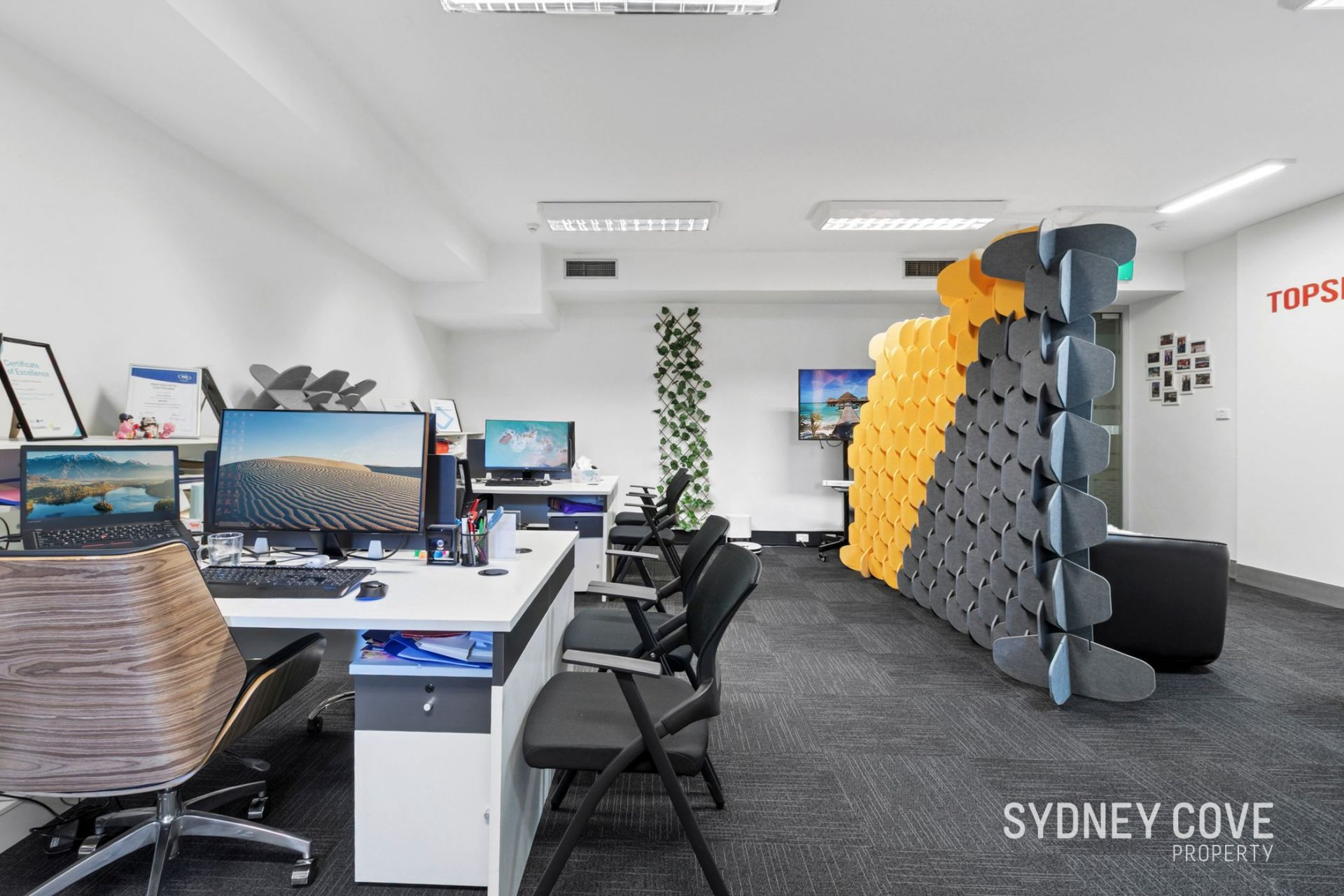 276 Pitt Street, SYDNEY NSW 2000, Sydney - Thumbnail 3