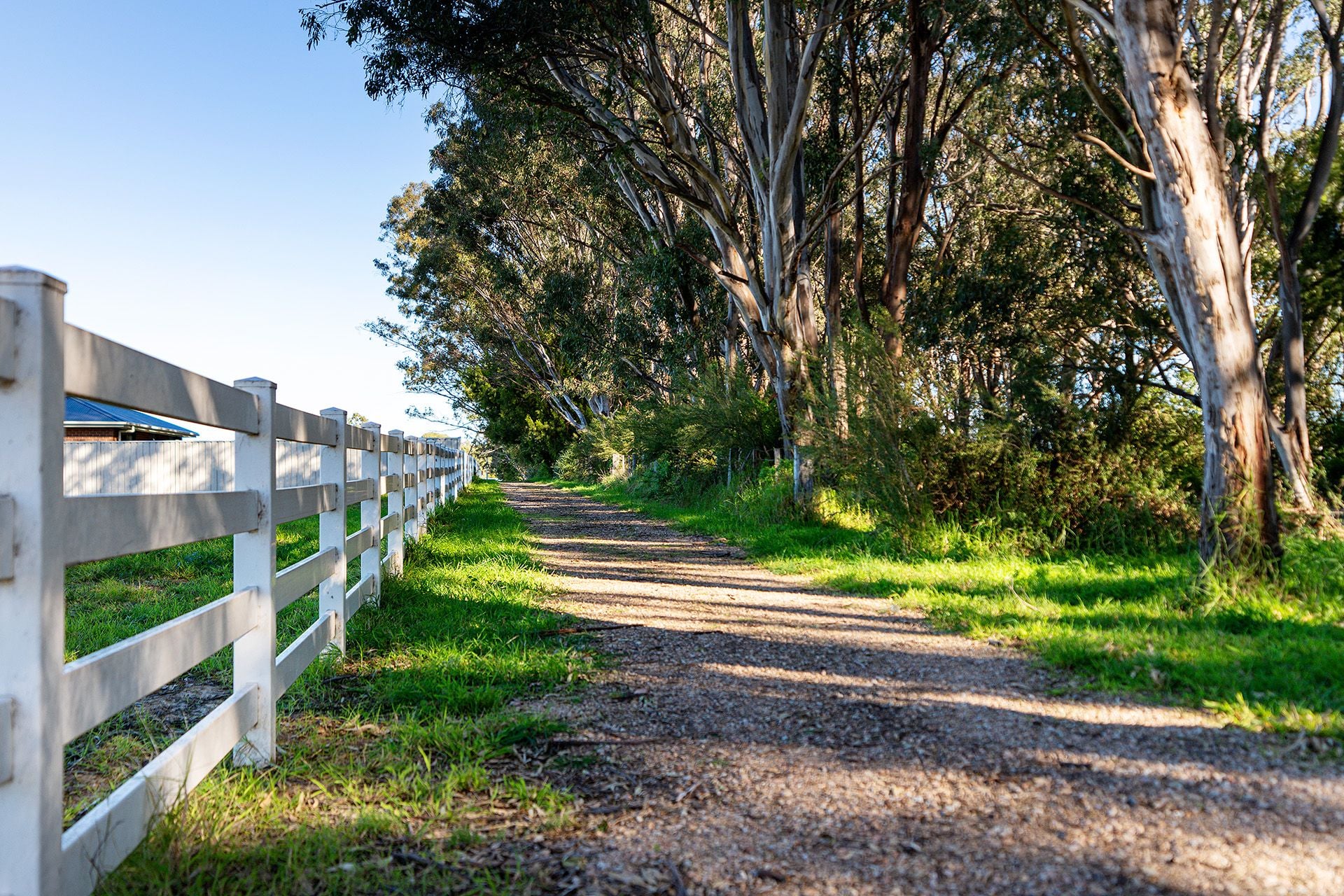 Lot 36/65 Whitworth Drive, Nicholson VIC 3882