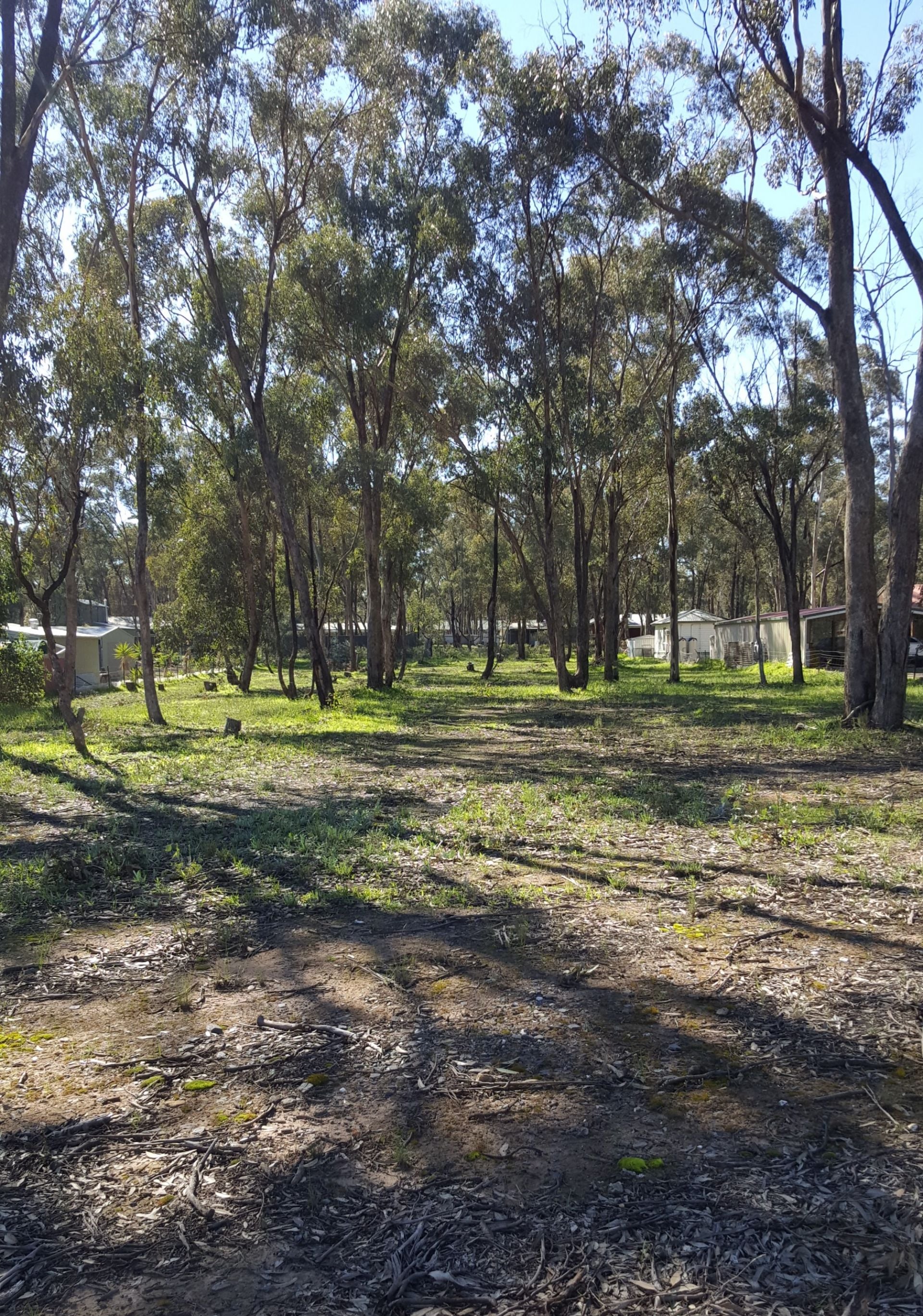 98 Burgoyne Street Huntly VIC, Huntly - Thumbnail 4