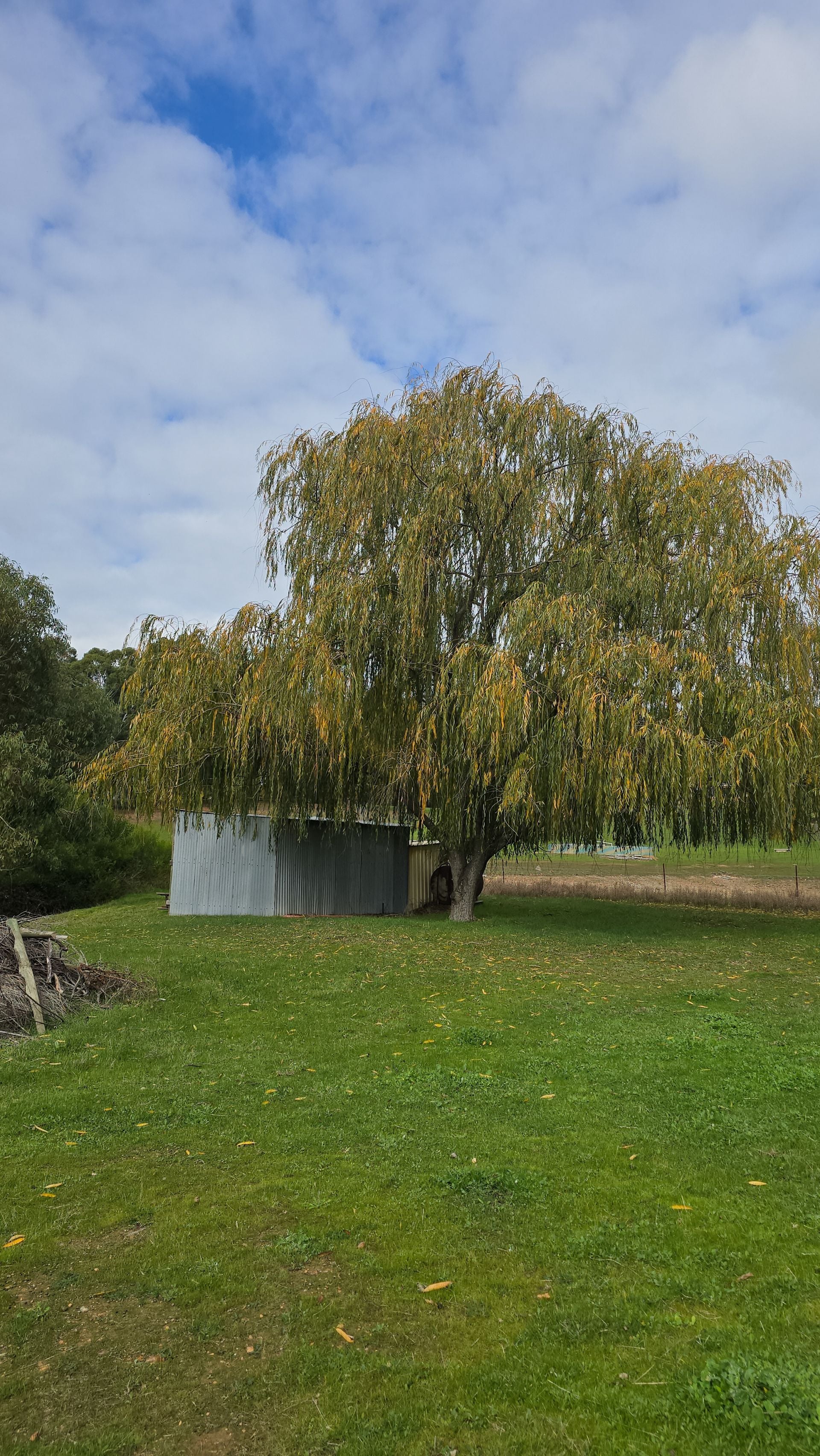 2160 Pinjarra-Williams Rd, Dwellingup For Sale by Farmbuy.com - image 7