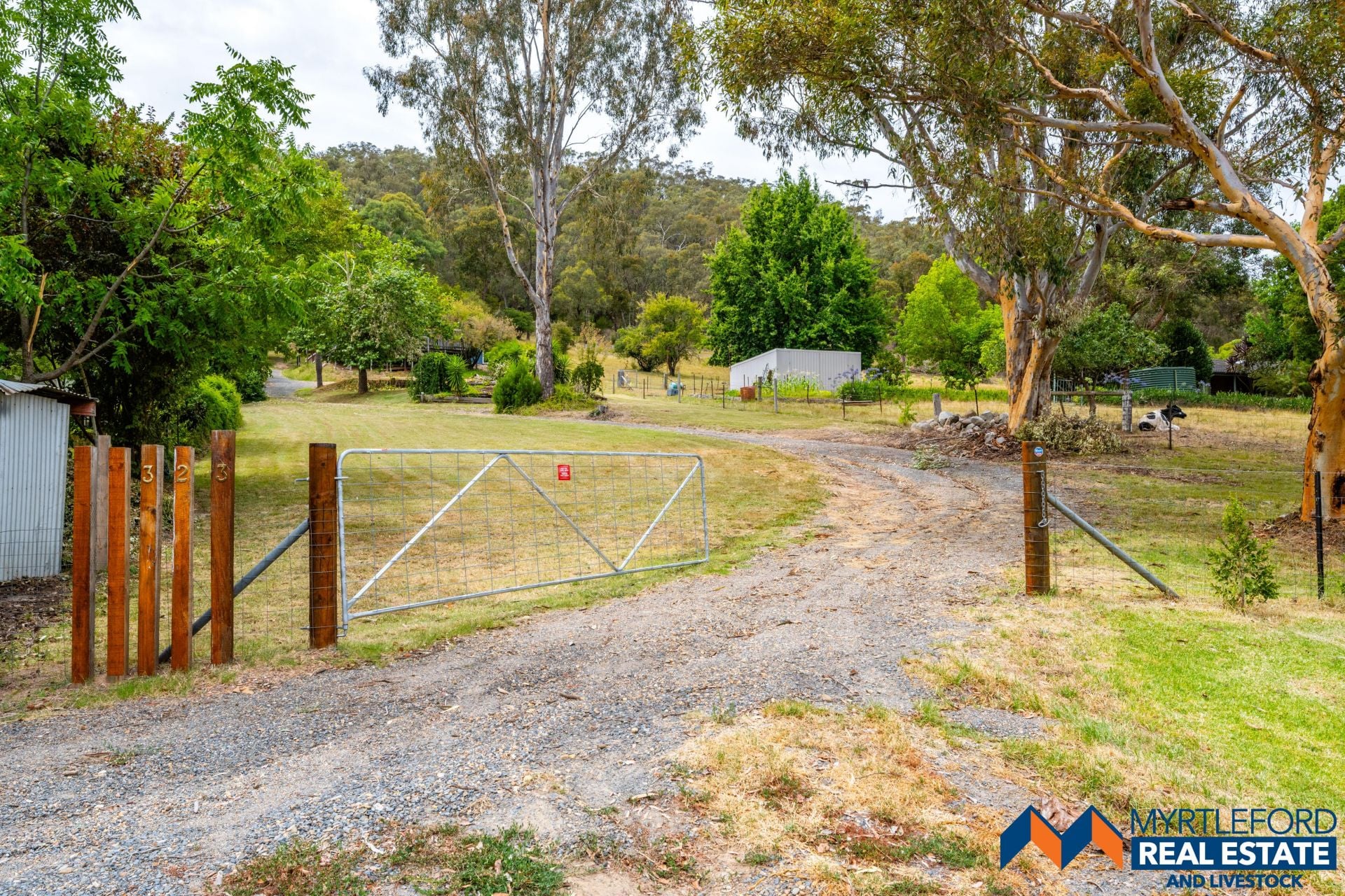 323 Buffalo River Road, MYRTLEFORD, Myrtleford - Thumbnail 6