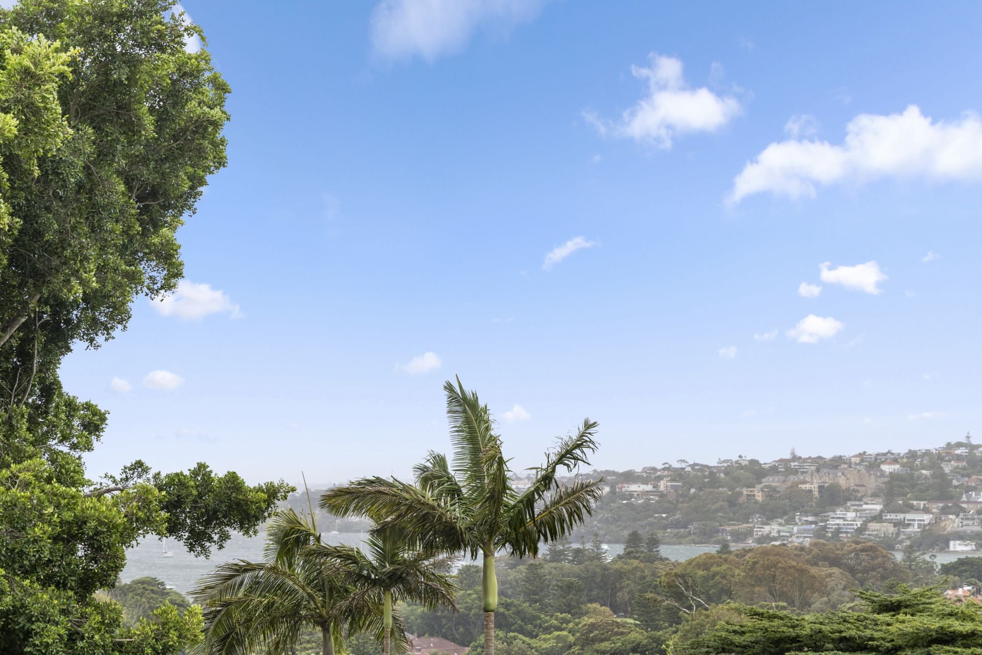 6/49 Drumalbyn Road Bellevue Hill NSW, Bellevue Hill - Thumbnail 4
