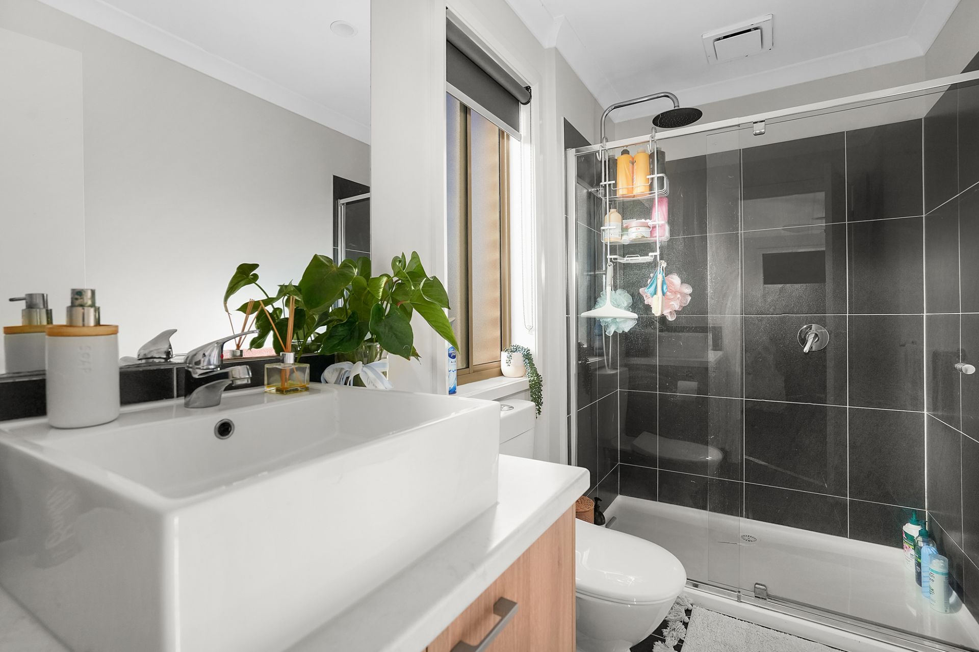 10 Honour Avenue, Winter Valley, Winter Valley - Thumbnail 7