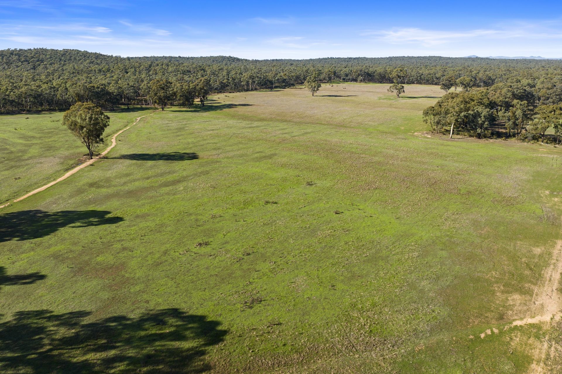 240 Possum Gully Road, Adelaide Lead - Thumbnail 6