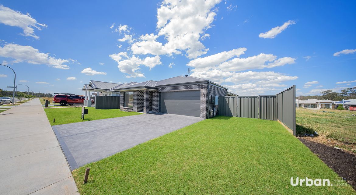 Bellbird 68 Abbotsford Street