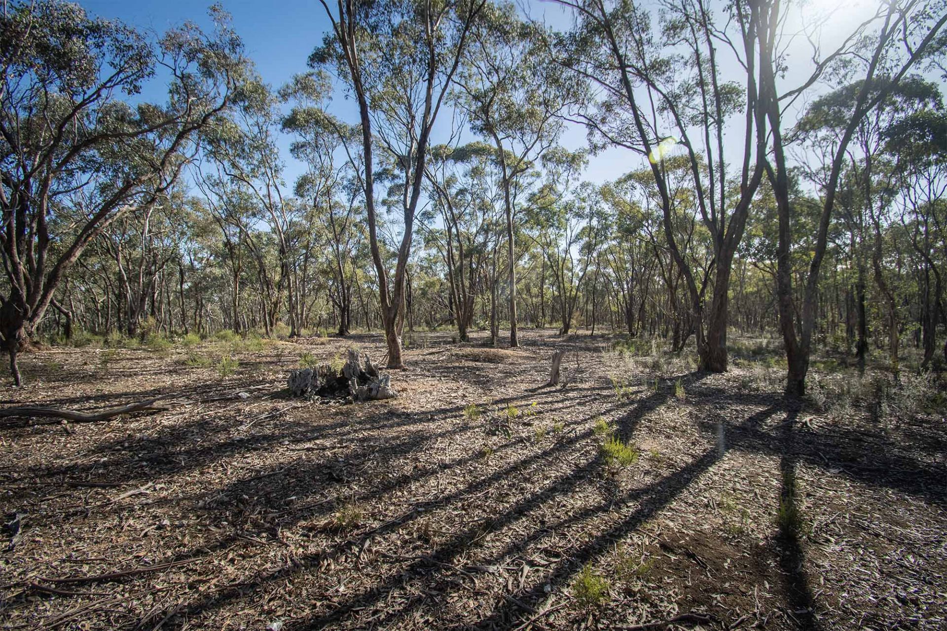 268 Moonlight Rd - Moonlight Flat, Maryborough - Thumbnail 7