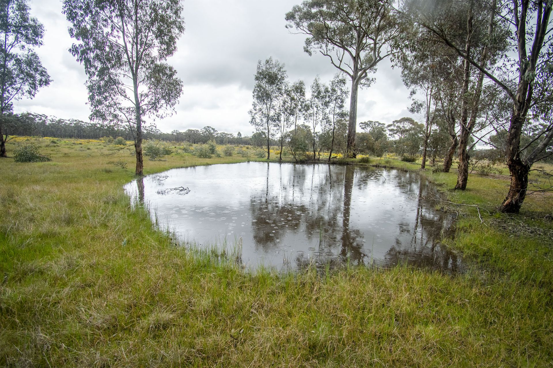 31/123 Logan Road, Alma - Thumbnail 8