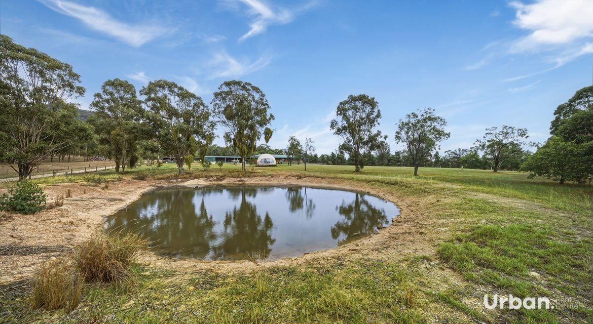 Bulga 77 Wollemi Peak Road